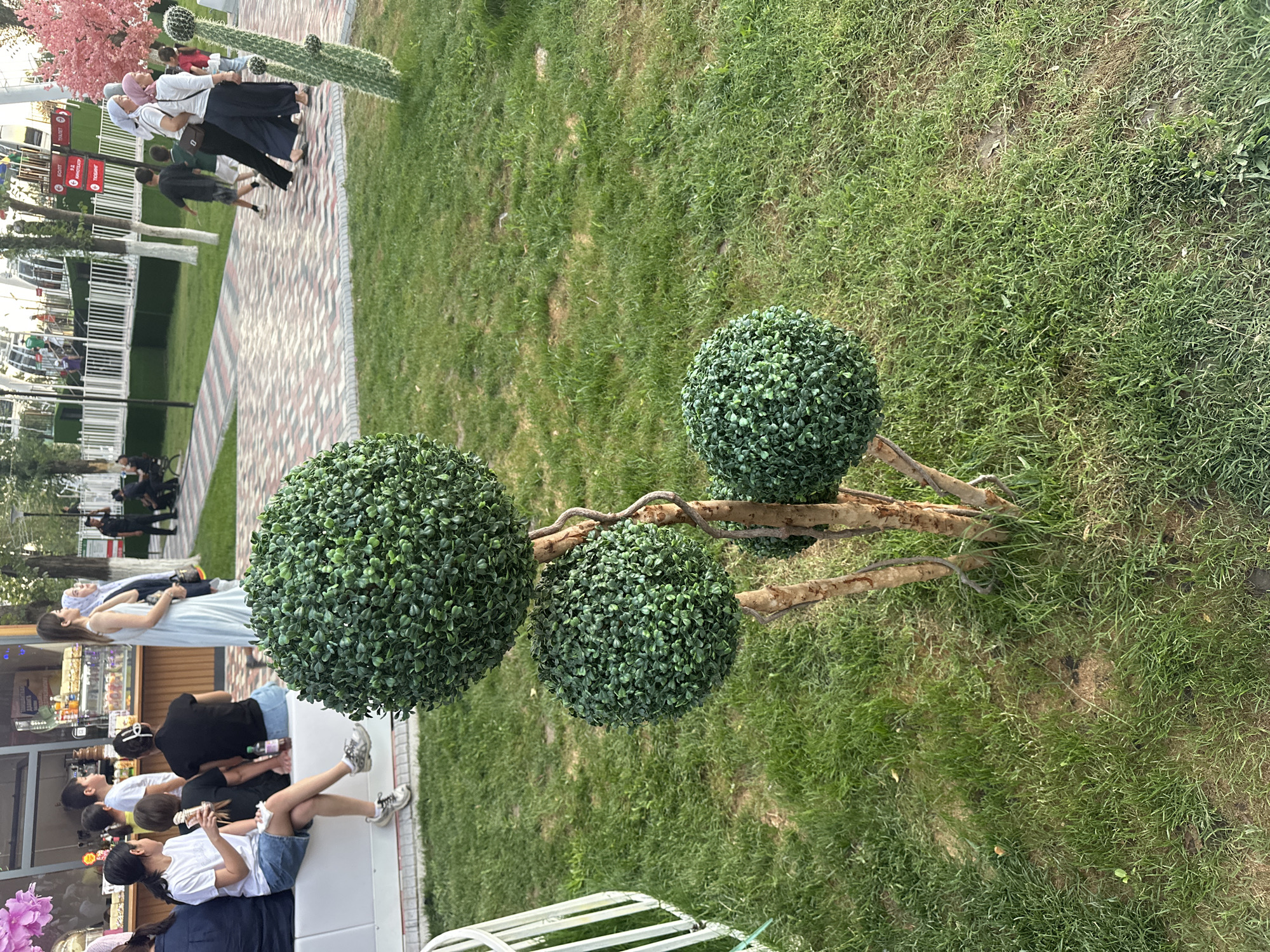 The image depicts an outdoor scene with several people and decorative elements, likely in a public space or park. The main subjects are several individuals, some of whom are walking, while others are seated. One group is near a food stall or kiosk, with some people seated on a bench and others standing. Another group is walking on a patterned pathway. A prominent artificial topiary, resembling a tree with three round green spheres, stands in the foreground. In the background, there's a decorative cactus-like structure with pink flowers and more people in the distance.
The setting appears to be a park or outdoor recreational area, indicated by the presence of grass, trees, pathways, and decorative elements. The time of day seems to be daytime, possibly late afternoon or early evening, given the lighting. The weather appears to be pleasant, as people are dressed in casual summer attire. The overall mood seems relaxed and casual, with people enjoying their time outdoors.
There are no discernible emotions conveyed by the people in the image. The location context provided is Manas, Kyrgyzstan, which might suggest the architectural style or the types of plants could be indicative of the region, although the dominant features are the artificial decorations.
Visible text is limited, with some signage on the food stall or kiosk in the background, but it is not legible enough to be read. The artificial plants and decorations suggest a curated outdoor space designed for aesthetics and public enjoyment.