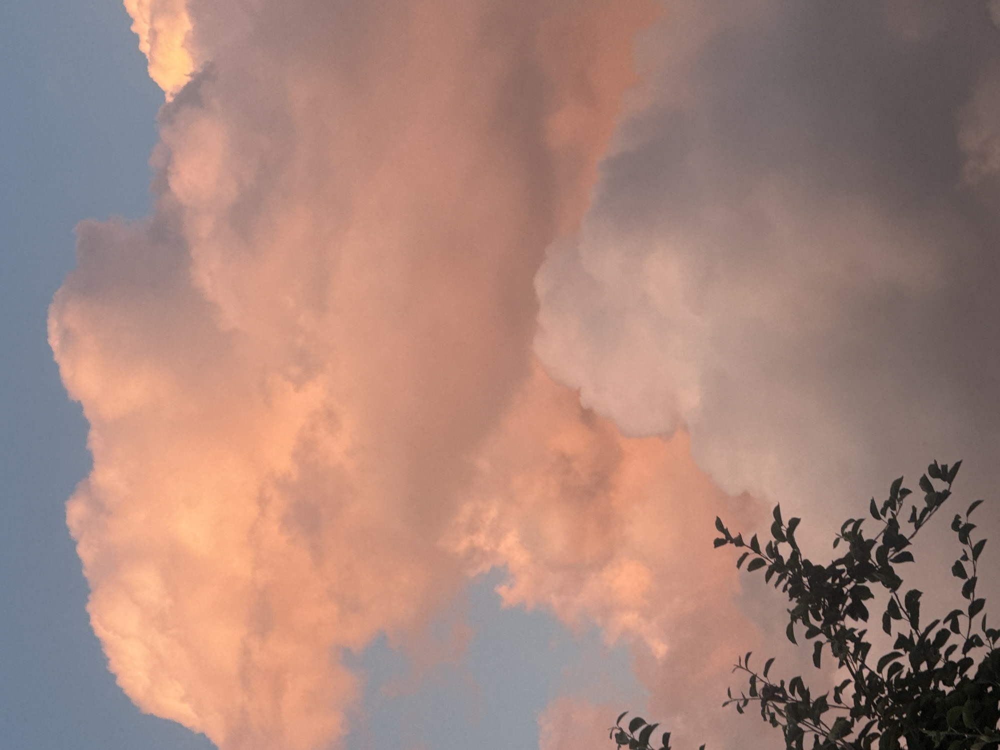 The image depicts a sky filled with clouds illuminated by sunset or sunrise light, casting hues of pink and orange. The clouds are a mix of fluffy cumulus and more diffused formations. In the lower left corner, the dark silhouette of tree branches with leaves is visible against the colorful sky. The scene appears to be an outdoor natural environment, possibly on the outskirts of the city of Hraniv, Ukraine, given the context. There are no people or discernible structures present in the frame, focusing solely on the atmospheric conditions and the natural elements.
