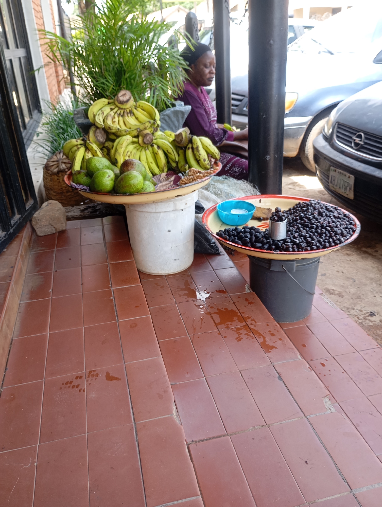 A woman is sitting in front of a display of fruit, likely in the city of Jos, Nigeria. She is wearing a purple dress and a headscarf. In front of her are two large trays of fruit. The first tray, on a white bucket, holds a large bunch of green bananas and some avocados. The second tray, on a grey bucket, contains a pile of dark berries, a small blue bowl, and a small metal container. The ground is paved with reddish-brown tiles, and there are some puddles of water on the ground, suggesting it may have recently rained. Behind the woman, several cars are parked, indicating this is a roadside stall or market.
