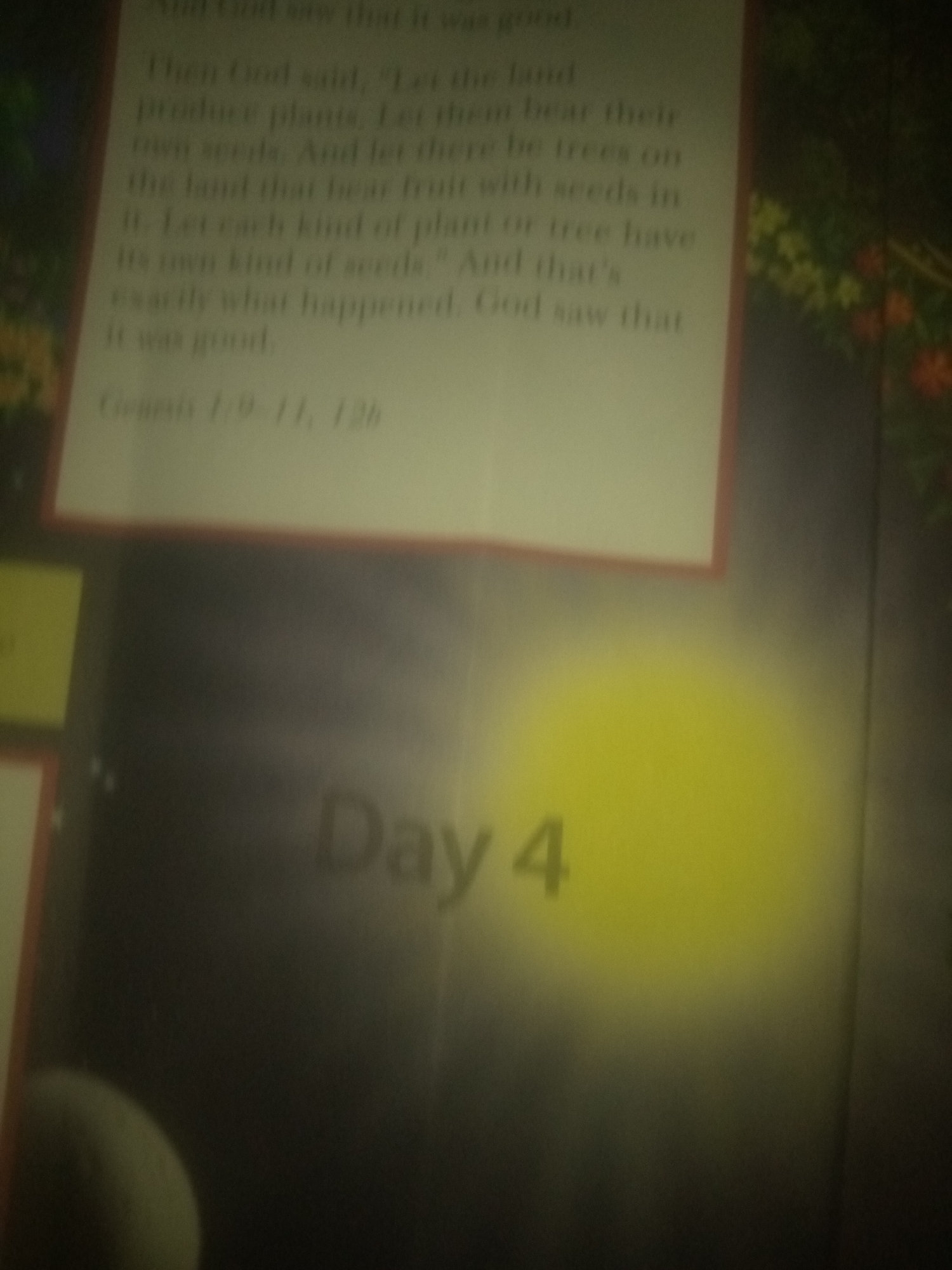 The image shows a close-up of a page from a book. The page contains text that appears to be from a religious scripture, likely the Bible, with phrases like "And God saw that it was good," "produce plants," and "own kind of seeds." Below the text, the reference "Genesis 1:9-11, 12b" is visible. Further down on the page, the words "Day 4" are prominently displayed, along with a bright yellow, out-of-focus circular shape that might represent the sun. The background is dark and blurry, with hints of greenery and red flowers on the right side, suggesting a natural or illustrated theme. The image's quality is poor due to low resolution and blurriness. No specific location in Jauro Yinu, Nigeria, can be identified from this image.