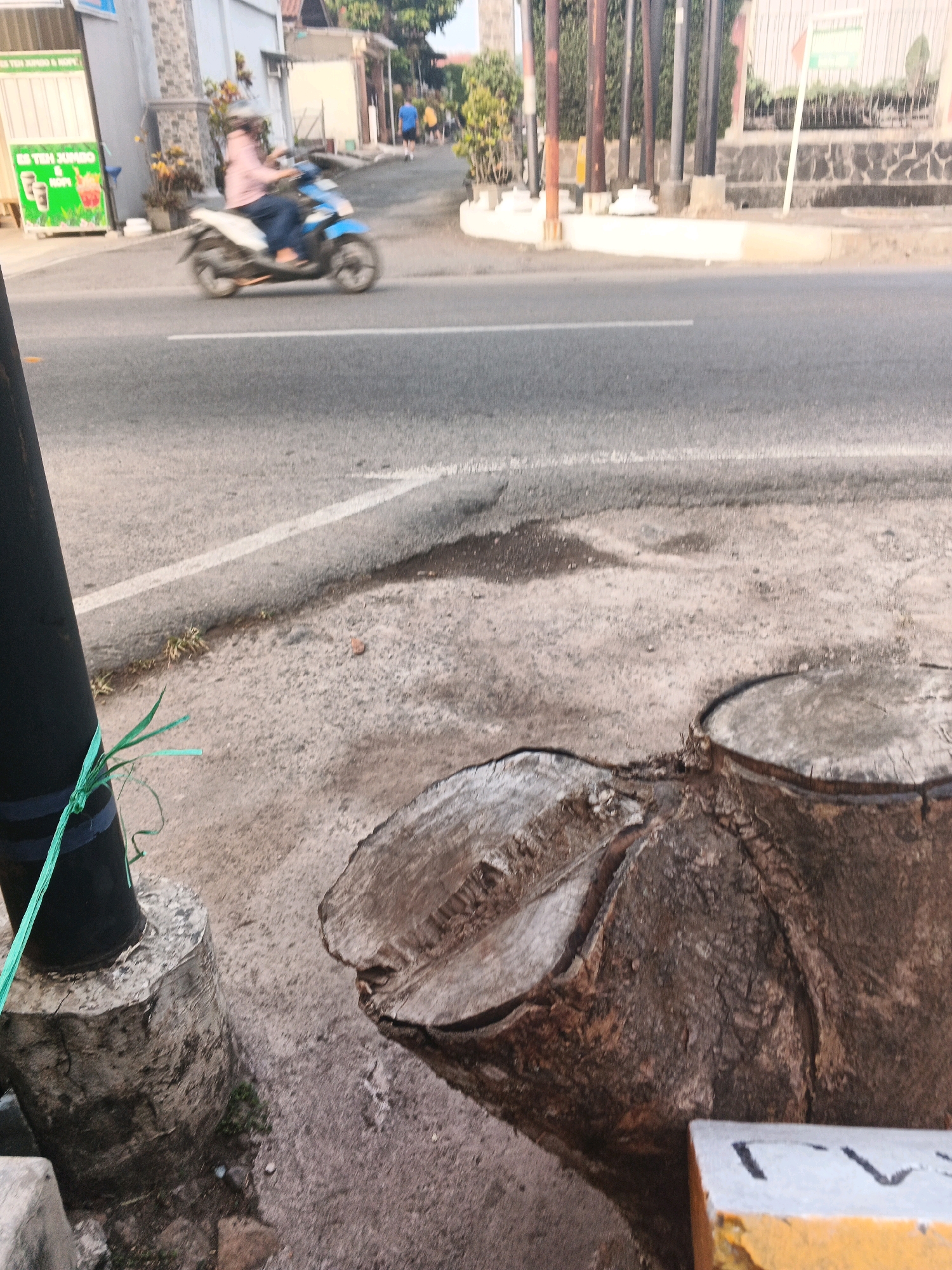 A person wearing a pink shirt and jeans rides a blue and white scooter on an asphalt road in Semarang, Indonesia. The scooter is moving from left to right in the frame. The person is wearing a helmet. On the left side of the road, there is a black pole with a green string tied around it, attached to a concrete base. In the foreground, there are two tree stumps with rough textures. The background shows a street with buildings, vegetation, and other people walking. One building on the left has a sign that appears to advertise drinks. The scene appears to be a roadside environment in a moderately urban area.