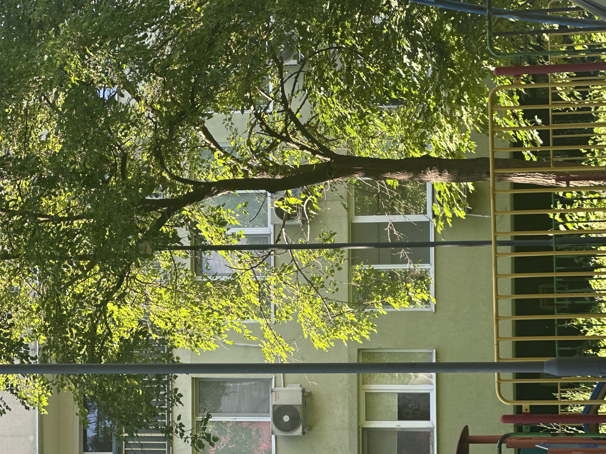 The image captures a sunlit residential building with a light green facade, partially obscured by a leafy green tree. The building has multiple windows, some with blinds, and at least two outdoor air conditioning units. A yellow metal fence runs across the foreground, with hints of playground equipment behind it. Two grey lampposts are visible, one prominently in the left half of the frame and another on the right. The scene appears to be an outdoor urban setting.