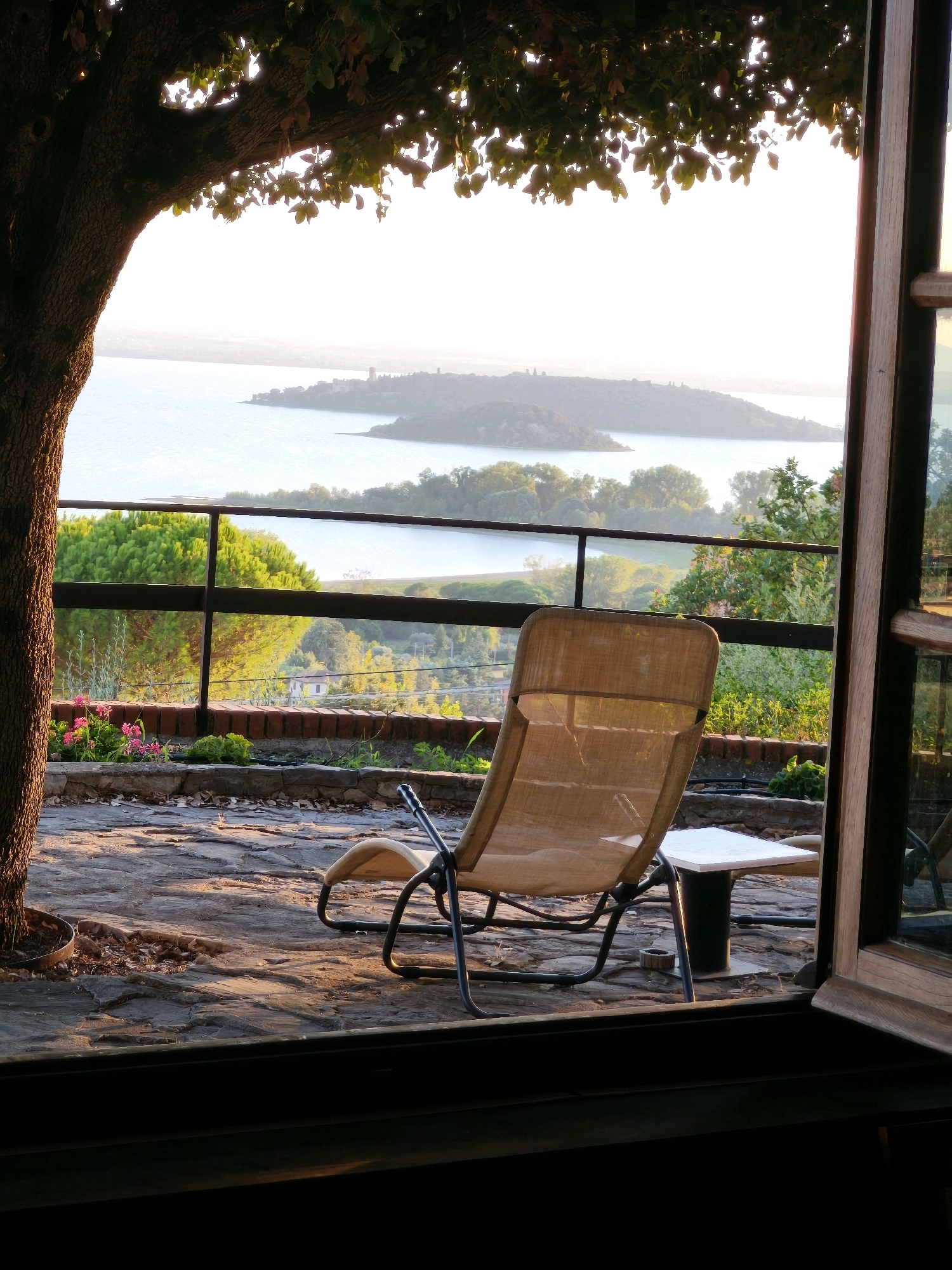 The image depicts a tranquil outdoor seating area overlooking a serene body of water, likely Lake Trasimeno, with a view of distant islands and a hazy horizon. In the foreground, a light-colored lounge chair made of fabric and metal tubing rests on a stone patio. To the right of the chair, a small white table with a dark cylindrical base is positioned. A portion of a tree trunk with rough bark is visible on the left side of the frame, casting dappled shadows across the patio. A black metal railing runs horizontally across the middle ground, separating the patio from a terraced garden below. This garden features a variety of green foliage and a cluster of small pink flowers near the railing. The background showcases the expansive lake, with a few small, tree-covered islands dotting its surface and a faint, distant shoreline. The scene is bathed in soft, warm light, suggesting either early morning or late afternoon. The presence of a window frame on the right edge of the image indicates that this view is from within a structure, possibly a home or a restaurant, looking out. This vantage point in Passignano sul Trasimeno, Italy, offers a picturesque panorama of the lake and its surrounding landscape.