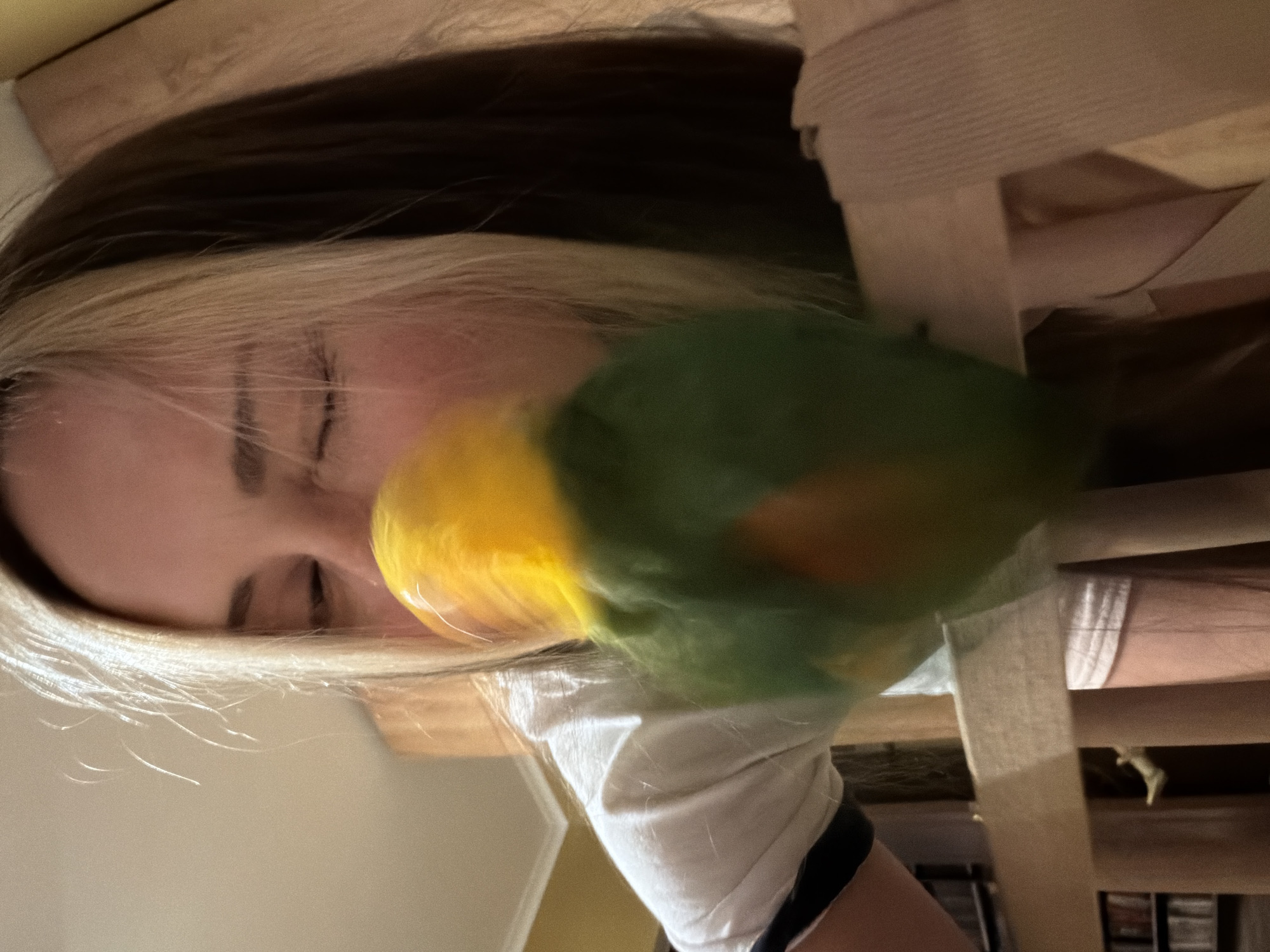 A woman with blonde and brown hair is pictured in a close-up, low-angle shot. A green and yellow bird is positioned near her face. In the background, parts of a wooden chair and a room interior with shelves and various items are visible. The location is not specified, and there is no indication that the scene is in Khimki, Russia.