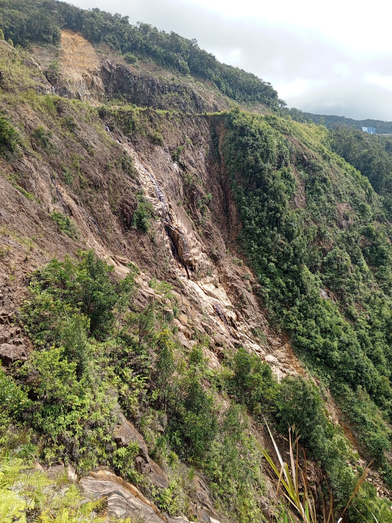 The image captures a steep, vegetated mountainside, likely in the vicinity of Nam Khanh Vinh, Vietnam. The terrain is rugged, characterized by exposed rock faces and dense green foliage, including trees and ferns. A significant portion of the mountainside appears to have experienced a landslide, evidenced by a large scar of loose soil and rock cascading down the slope. A thin, possibly seasonal, waterfall or watercourse is visible running down the exposed rock face. Power lines are also present, stretched across the upper part of the mountainside, suggesting proximity to infrastructure. The sky is overcast, with clouds obscuring the full extent of the landscape. The overall scene depicts a natural environment impacted by geological activity and human presence.