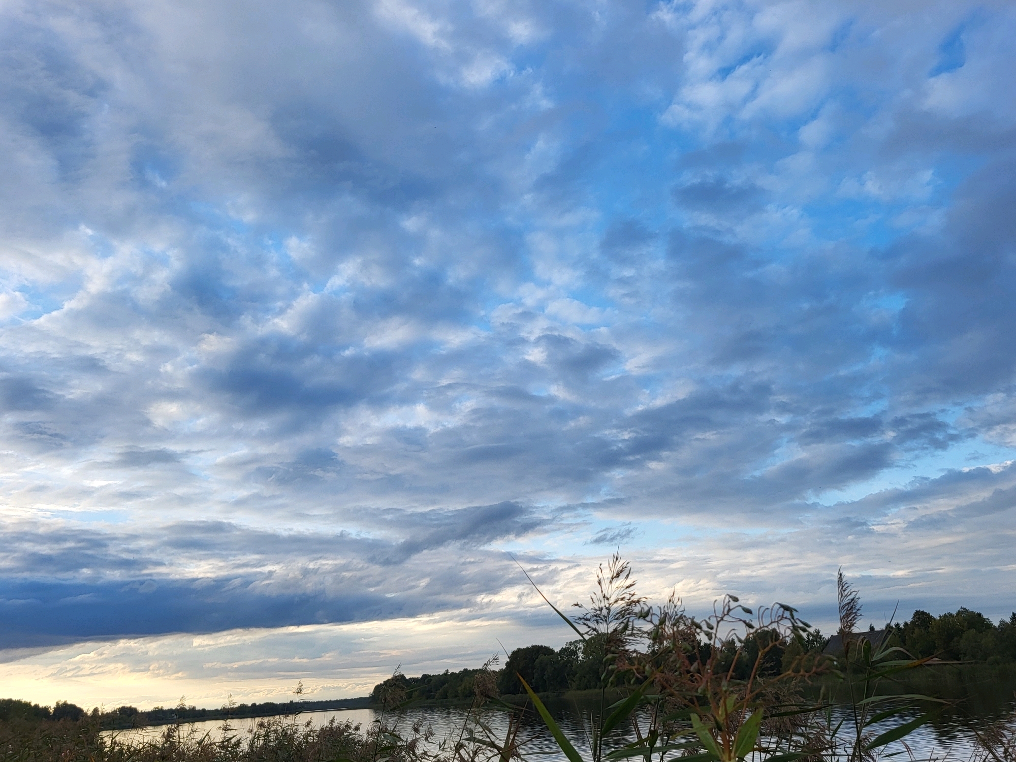 This is a low-angle, eye-level, wide shot photograph taken at dusk in Kalnciems, Latvia. The sky dominates the frame, filled with a dynamic mix of dark gray and bright white clouds against a blue backdrop. The clouds are scattered and wispy, with some denser formations obscuring the sun, creating a dramatic lighting effect.
Below the sky, a body of water, likely a river or lake, stretches across the midground. The water's surface is calm, reflecting the muted light. Along the far bank of the water, a dense line of trees forms a dark silhouette against the horizon. A small, dark-colored building, possibly a house with a visible roof, is nestled within the trees on the right side of the frame.
In the foreground, tall, dry grasses and reeds are prominent, some swaying slightly, obscuring the lower portion of the water and the landscape beyond. The overall impression is one of a natural, serene landscape at the end of the day. There are no people or animals visible in the image. The scene appears undisturbed and natural.