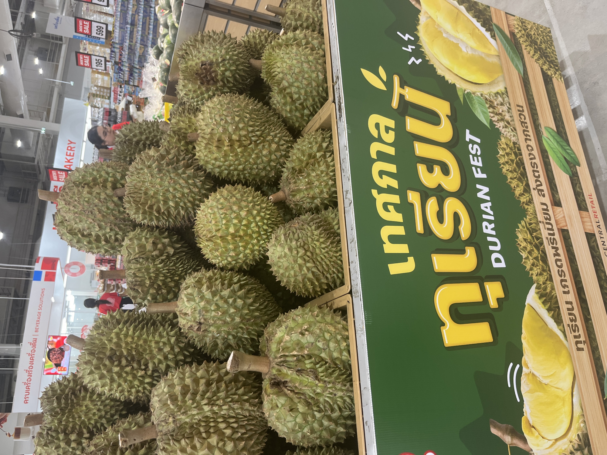 This image captures a vibrant durian display within a bustling supermarket, likely a Central Retail store in Pattaya City, Thailand. The foreground is dominated by a large, overflowing presentation of fresh, spiky green durians, meticulously arranged in wooden crates.
Adjacent to the durians is a prominent green promotional sign. The sign features large yellow Thai script, "เทศกาล ทุเรียน," which translates to "Durian Festival," alongside the English text "DURIAN FEST." Additional text reads "ทุเรียน เกรดพรีเมี่ยม ส่งตรงจากสวน" (Premium Grade Durian, directly from the farm) and "CENTRALRETAIL." The sign is adorned with illustrations of an opened durian, showcasing its yellow flesh, and other durians in wooden crates.
In the background, the interior of the supermarket is visible with bright artificial lighting. Several shoppers are scattered throughout the aisles; one individual in a red shirt can be seen near the durian display. Various store sections are identifiable by overhead signage, including "BAKERY" and "ครบเครื่องเรื่องเครื่องดื่ม | BEVERAGE SOLUTIONS" (Complete Beverage Solutions). Shelves stocked with other produce, such as watermelons, and packaged goods are visible. Multiple "SALE" signs with prices like "195" and "599" (likely in Thai Baht) indicate ongoing promotions. The scene depicts a lively atmosphere around a special durian event or seasonal sale.