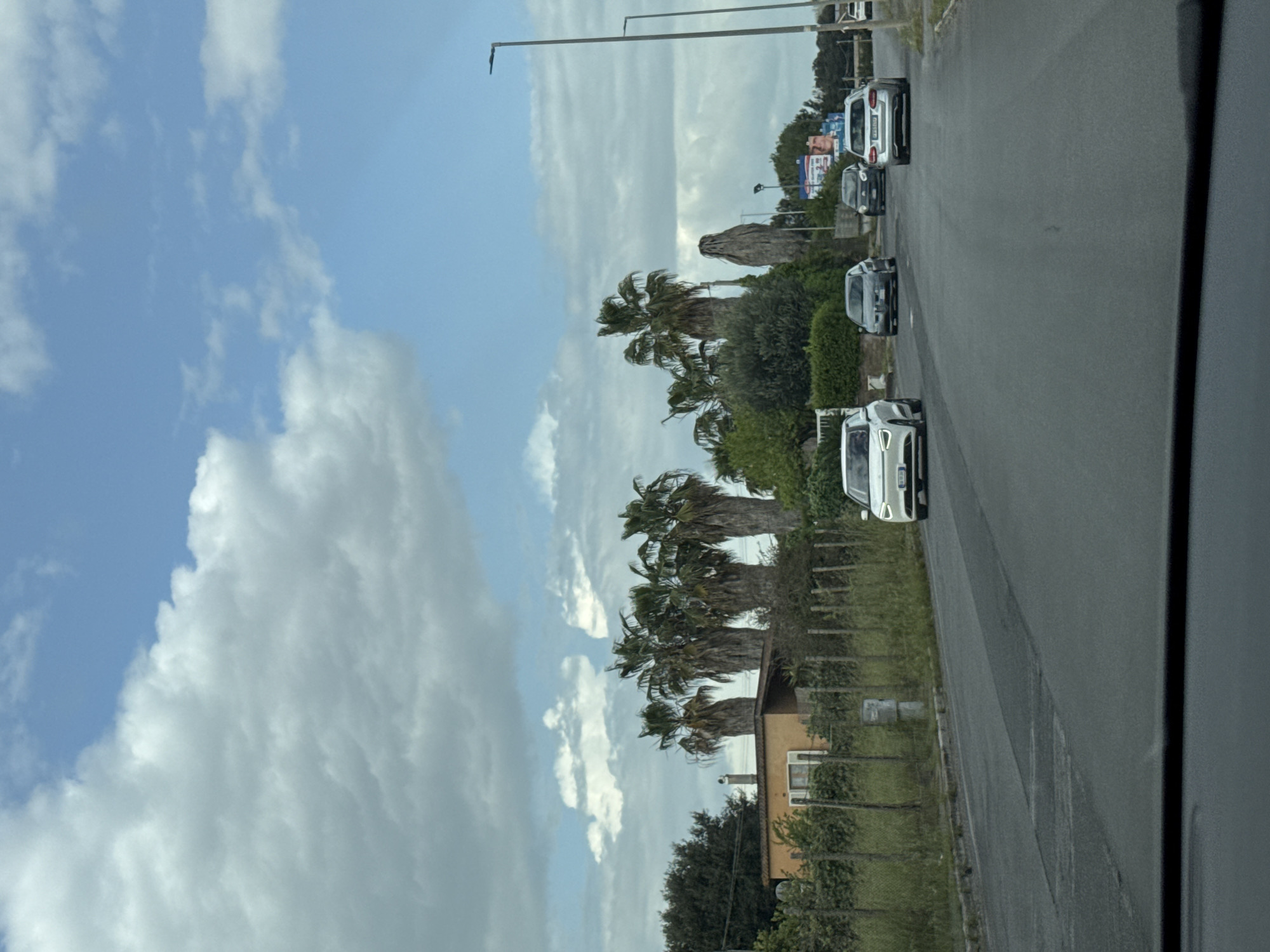 The image, rotated 90 degrees clockwise, captures a daytime scene in Nettuno, Italy, under a partly cloudy sky. The left portion of the frame shows a light blue sky with scattered white cumulus clouds.
A paved asphalt road stretches diagonally from the bottom right towards the top left. A dark gray border on the right suggests the photo was taken from within a vehicle. Several cars are visible on the road, appearing either parked or slowly moving. The closest vehicle is a white modern hatchback, identifiable by its distinct LED daytime running lights, facing away from the viewer. Further along the road are a dark-colored hatchback, another compact car, a white minivan, and a small dark car in the distance.
To the left of the road, a green landscape features multiple tall palm trees with green fronds and visible trunks, along with other shrubbery. Behind the vegetation, a light brown building with a chimney and windows is partially visible. Streetlights with long poles rise above the roadside. In the distance, faint advertising billboards can be seen, but no text is legible on them or any vehicles. The weather appears fair with good visibility.