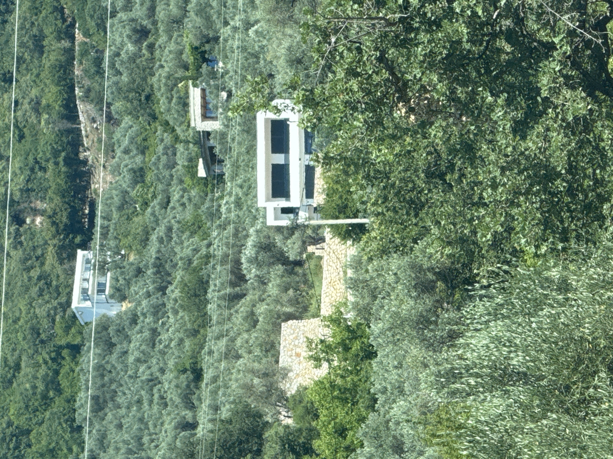 The image depicts a hillside in Sustaš, Montenegro, covered in dense green foliage, primarily olive trees. Several modern buildings are nestled within the landscape. In the upper left portion of the image, a white, multi-story building with balconies is visible. Further down the hillside, a predominantly white, rectangular building with dark-paned windows is prominent, appearing to have two levels. To the right of this building, a more rustic structure constructed of light-colored stone is partially visible amongst the trees. In the far background, another modern building with a flat roof and large windows can be seen. Power lines are strung across the scene, indicating the presence of infrastructure. The overall environment suggests a semi-rural or suburban setting with a blend of natural vegetation and human habitation.