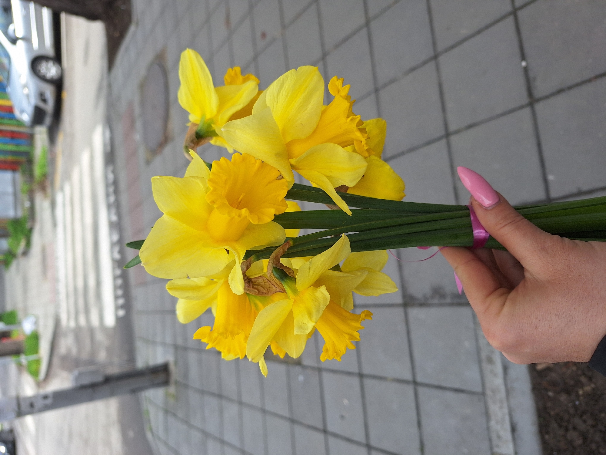 A person holds a bouquet of yellow daffodils in their right hand, secured with a pink ribbon. The hand has long, pink fingernails. The background consists of a gray-tiled sidewalk, with a crosswalk visible in the distance. A car and some colorful objects are blurred in the far background. This scene likely takes place in an urban area, potentially Varna, Bulgaria.