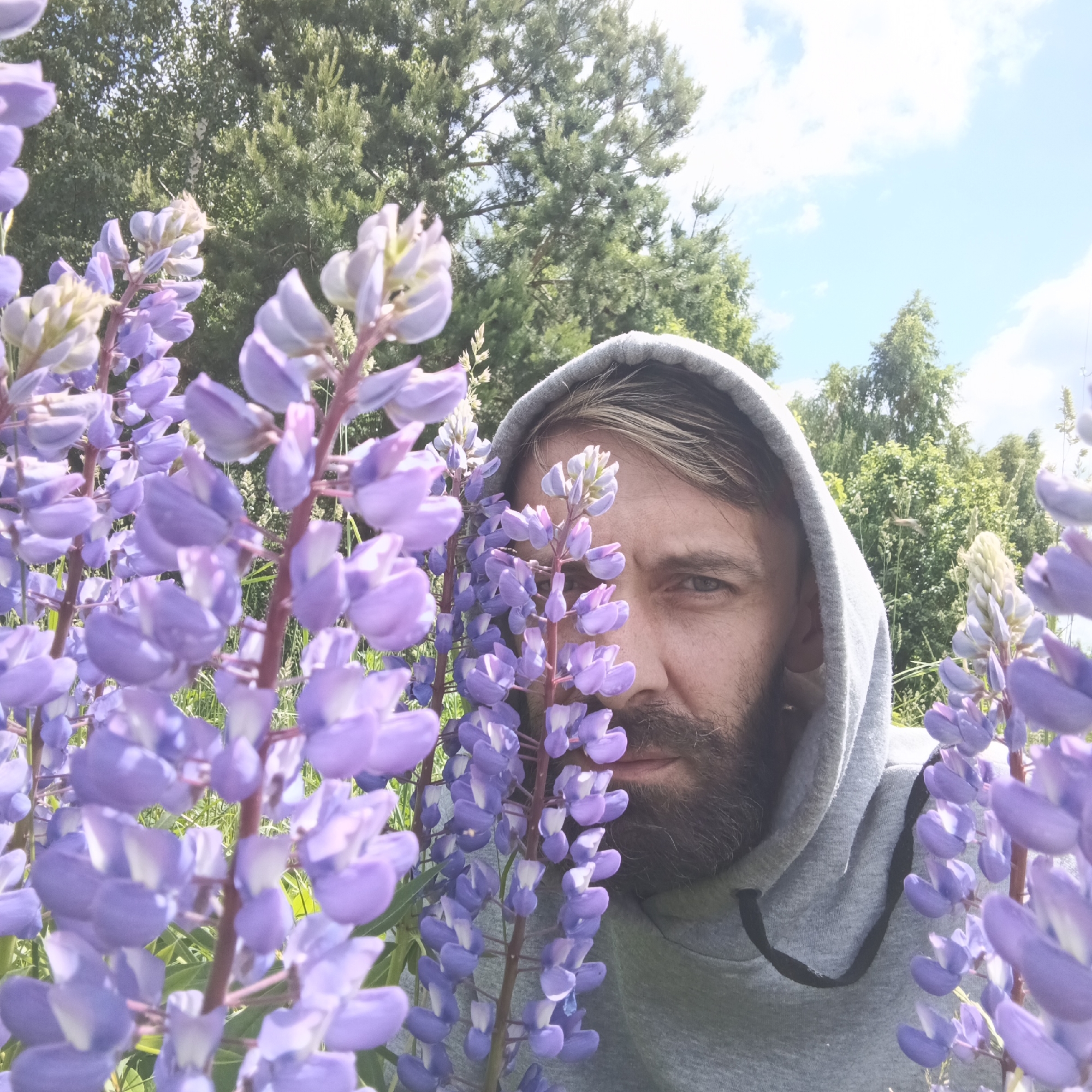 A man in a grey hoodie is partially obscured by a cluster of purple lupine flowers in the foreground. He has a beard and his eyes are visible. The background consists of green trees and a blue sky with clouds. The scene appears to be outdoors, likely in a natural setting with flowers. There is no identifiable urban landscape or specific location within the city of Марковский, Russia.