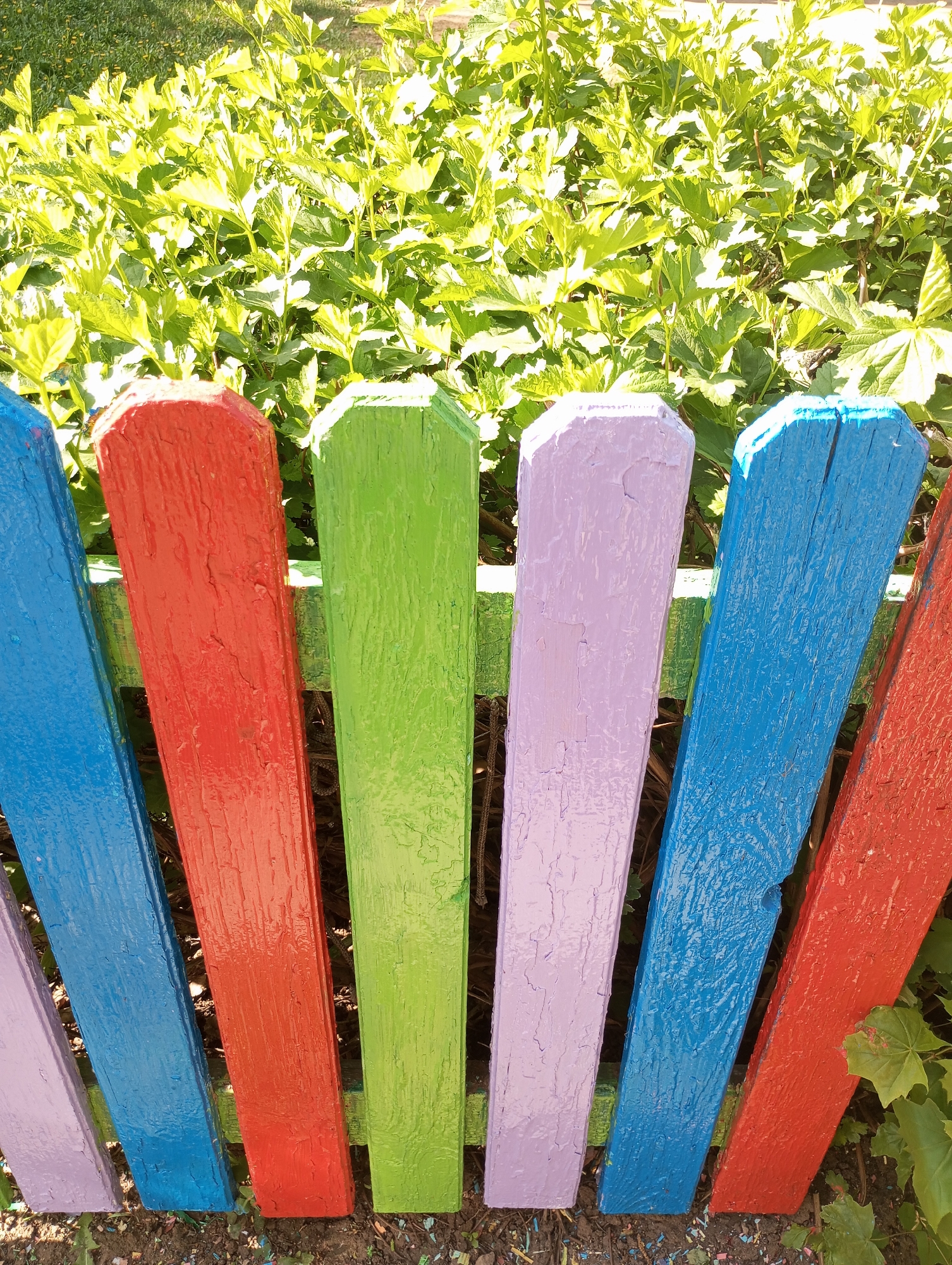 A close-up shot shows a brightly painted wooden picket fence in front of lush green foliage. The pickets are painted in a variety of colors, including blue, red, green, and purple. The paint appears to be slightly weathered, revealing the underlying wood grain. The foliage behind the fence is dense and green, suggesting a garden or park setting. The location is Izhevsk, Russia.