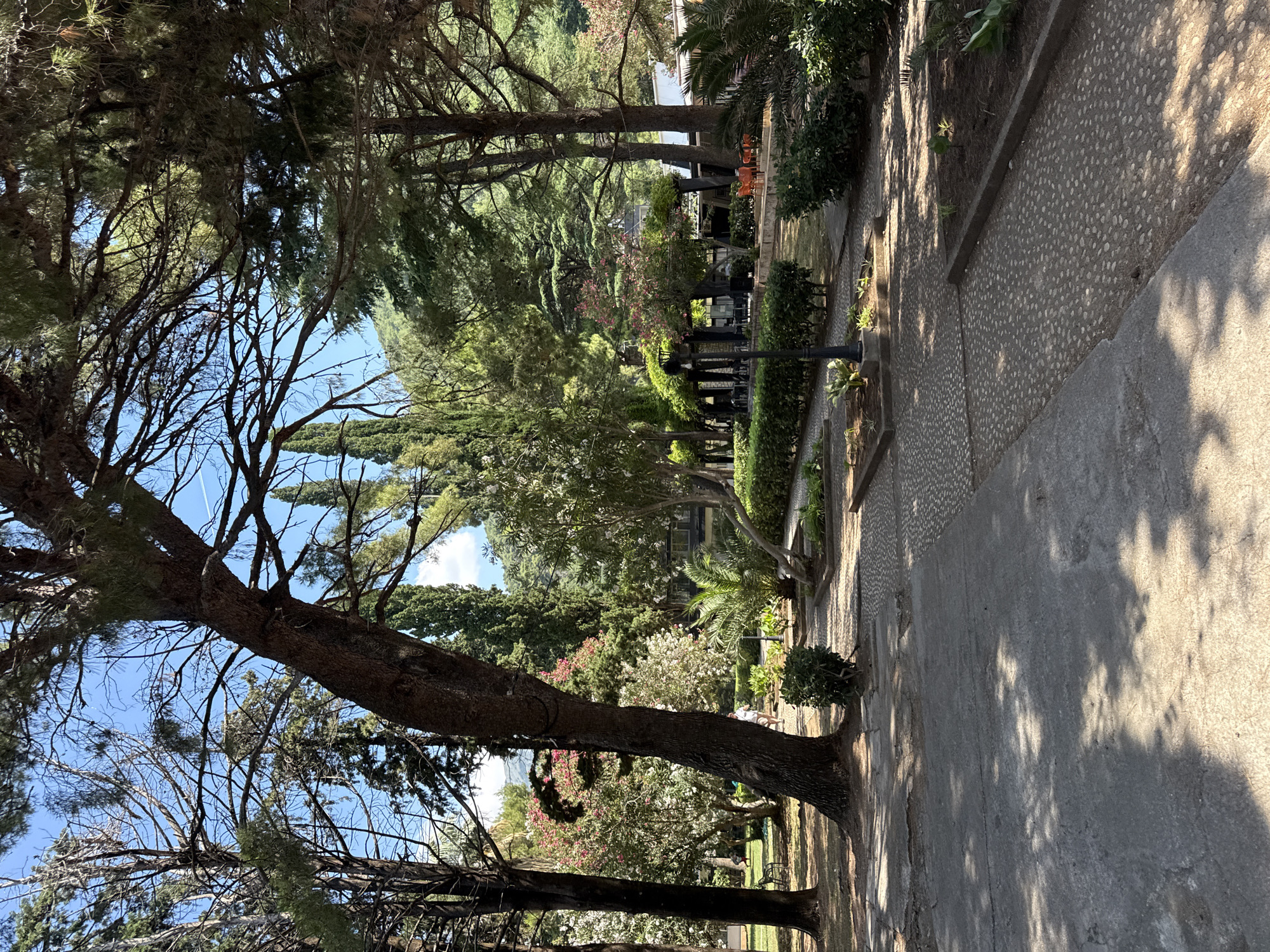 The image depicts a sun-dappled park area in Budva, Montenegro, characterized by mature trees, paved pathways, and manicured landscaping. In the foreground, a large, gnarled tree trunk dominates the left side, with its branches casting dappled shadows across a concrete path.
The park features winding pathways made of small, light-colored pebbles, interspersed with darker concrete sections. Bordering these paths are raised beds with dark soil, some containing small plants and ornamental shrubs. Further into the scene, there is a dense arrangement of various trees, including tall cypress trees, pine trees, and flowering bushes with pink and white blossoms.
A lamppost with a vintage design stands near the center of the image, positioned alongside a well-kept hedge. In the middle ground, a covered seating area with tables and chairs suggests an outdoor cafe or restaurant. Orange chairs are visible on a patio area in the background, alongside a building with a white facade.
The sky above is a clear, bright blue, with a few thin white clouds. In the distance, a hillside covered in lush green vegetation is visible, indicating a natural, hilly landscape surrounding the park. A man wearing a light-colored shirt and shorts is walking along one of the pebble paths, while another person is visible in the background, farther away. The overall atmosphere is serene and inviting, indicative of a pleasant day in a well-maintained public space.