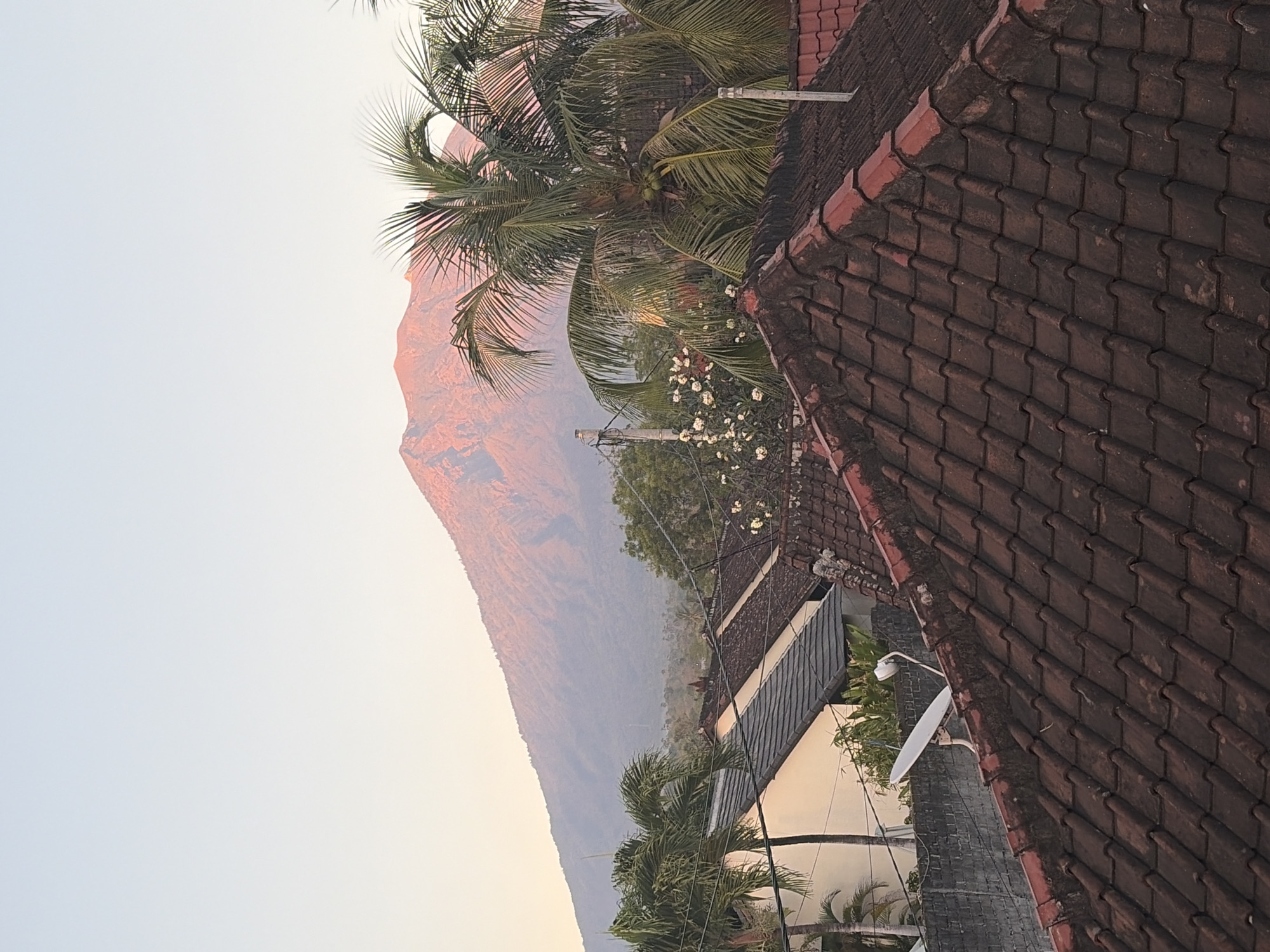 This is a vertical, eye-level, outdoor, daytime photograph taken in Kubu, Indonesia. In the foreground, a close-up view of red-tiled roofs dominate the lower half of the image. A white satellite dish is mounted on the ridge of one of the roofs. In the midground, palm trees with their fronds spread out are visible, with a cluster of white flowers on a vine below. Behind the trees, a residential building with a light-colored wall and a dark-tiled roof is partially obscured. In the background, a large, reddish-brown mountain looms under a clear, pale orange sky, its slopes softened by atmospheric haze. The scene captures a tropical residential area with a majestic natural landmark.