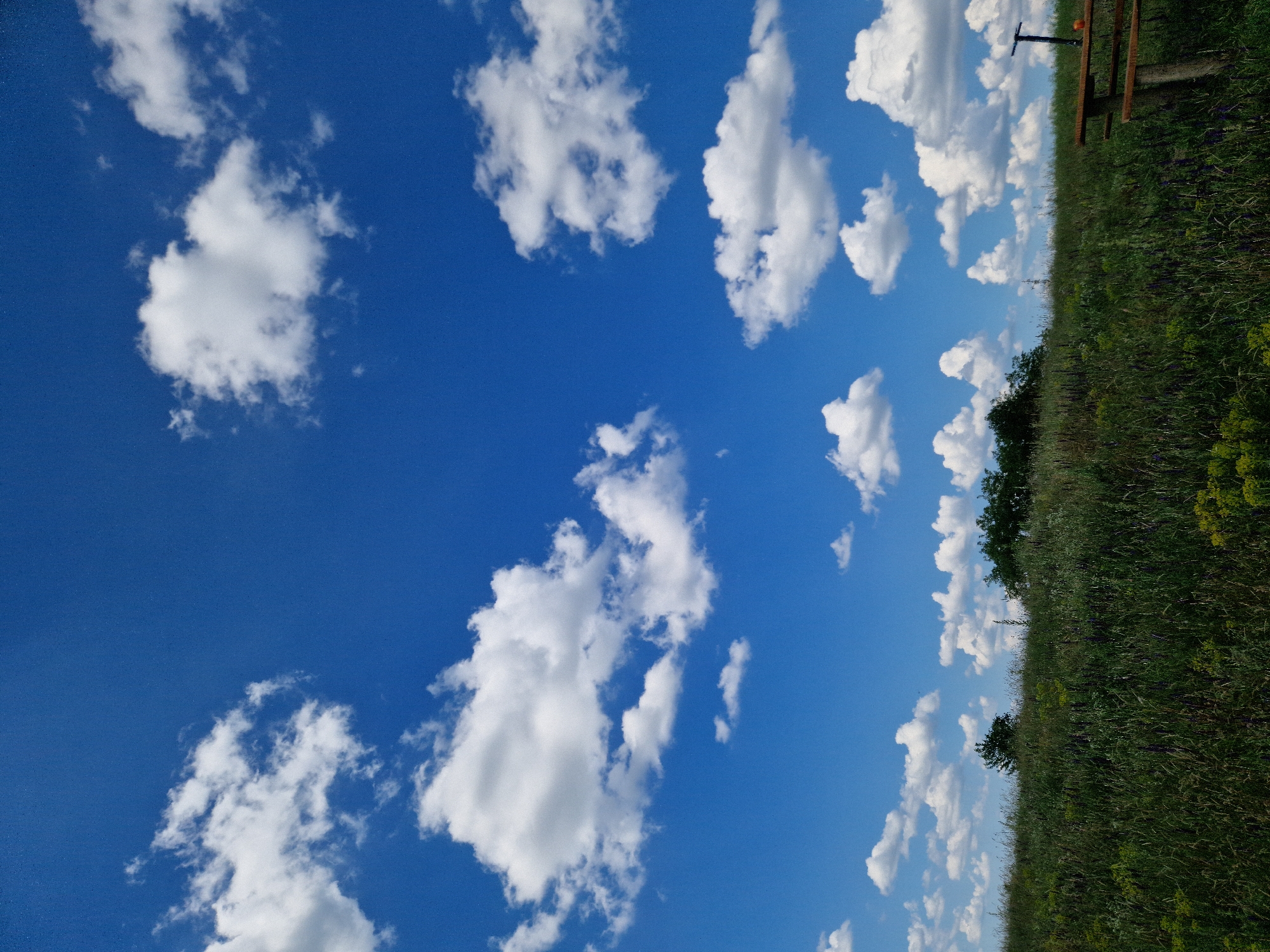 The image depicts a serene outdoor scene with a vast, clear blue sky filled with fluffy white cumulus clouds. The lower portion of the frame is dominated by a verdant, grassy hill dotted with wildflowers. In the far right of the image, a wooden picnic table is visible, with a small orange object, possibly a fruit, placed on it. A dark-colored scooter or kickboard stands upright behind the picnic table. In the distance, the top of a few trees can be seen along the crest of the hill. The overall impression is one of a peaceful, natural landscape under a bright, sunny day. Based on the provided context, this scene is located in the city of Ustyvytsia, Ukraine.