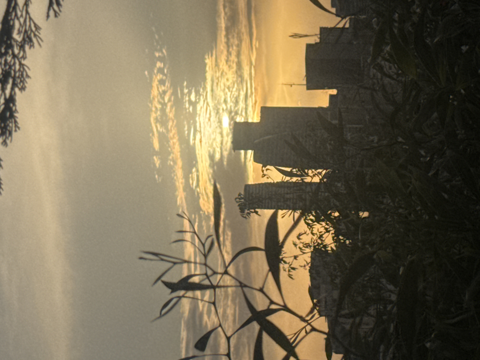 This image captures an urban landscape, likely in Ramat Gan, Israel, during the golden hour of either sunrise or sunset. The sun, a brilliant point of light, is positioned high in the upper-right portion of the frame, partially obscured by clouds.
The sky is a prominent feature, filled with dramatic, streaky clouds illuminated from behind by the golden light of the sun. These clouds exhibit warm hues of yellow and orange, creating a striking backdrop.
In the mid-ground, the silhouettes of several modern buildings form a distinct city skyline. Their dark, angular forms stand in sharp contrast against the bright, luminous sky, defining the urban environment.
The foreground is characterized by dark, silhouetted foliage and branches, appearing along the bottom edge and extending into the left side of the frame. These natural elements add depth and a framing effect to the urban scene.
The overall mood is serene and contemplative, highlighting the interplay between nature and the urban environment during a visually dramatic time of day. No individuals or visible text are present in the image.