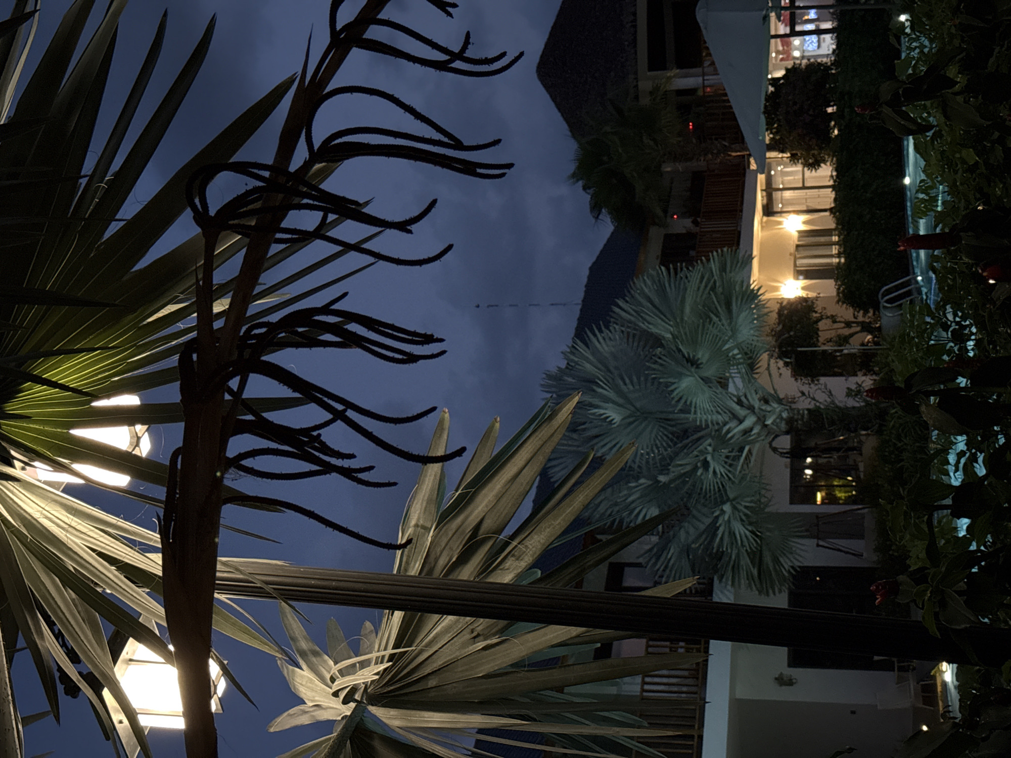 This image depicts an outdoor night scene, likely at a resort or hotel in Phú Quốc, Vietnam. The sky is dark and appears overcast.
In the foreground, large, dark palm fronds dominate the left side, partially silhouetted against the sky. Two bright, warm-toned outdoor light fixtures are visible behind these fronds, casting an upward glow. A dark, horizontal beam or structure runs across the mid-left of the frame, and a vertical pole is also seen on the far left.
To the right, a multi-story building complex is visible, featuring light-colored walls and large windows, some of which are illuminated with warm light from within. In front of the buildings, another palm tree with distinct silvery-green, fan-shaped fronds stands out. Further to the right, a swimming pool with a white ladder and glowing water is partially visible, obscured by dark, lush foliage and bushes along the edge.
In the background, the dark silhouette of mountains or hills can be seen beneath the cloudy night sky. The scene is illuminated primarily by artificial lights, creating a serene and inviting atmosphere. No people or specific activities are depicted. There is no visible text.