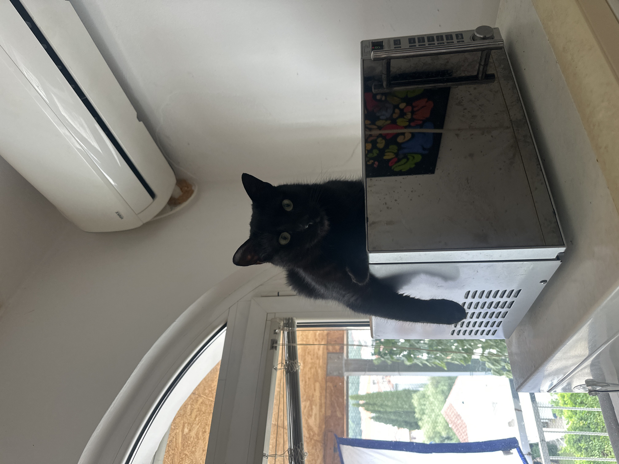 A black cat is perched atop a stainless-steel microwave oven, situated on a windowsill. The window overlooks a residential area with trees, buildings, and a blue and white awning. The location appears to be in Budva, Montenegro, based on architectural styles and vegetation. An air conditioning unit is mounted on the wall above the cat. Laundry hangs on a clothesline outside the window.