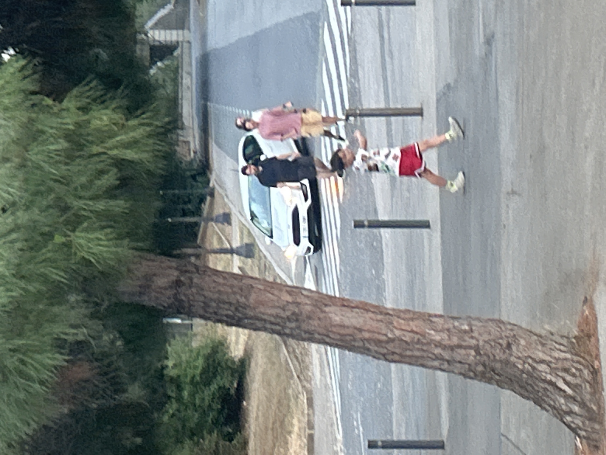 The image depicts a street scene with a pedestrian crossing in the foreground and a white car approaching from the background. A young child wearing a white shirt with a colorful pattern and red shorts with white trim is walking across the pedestrian crossing. Two adult males are visible behind the child, walking on the road. One man wears a black t-shirt and shorts, while the other wears a pink t-shirt and khaki shorts. The car is white and appears to be a hatchback, with its headlights illuminated. A large tree trunk with textured bark dominates the left side of the frame, obscuring part of the background. The environment appears to be a sunny day, with the street paved and lined with pedestrian bollards. The image does not provide enough context to determine a specific location within Barcelona, Spain.