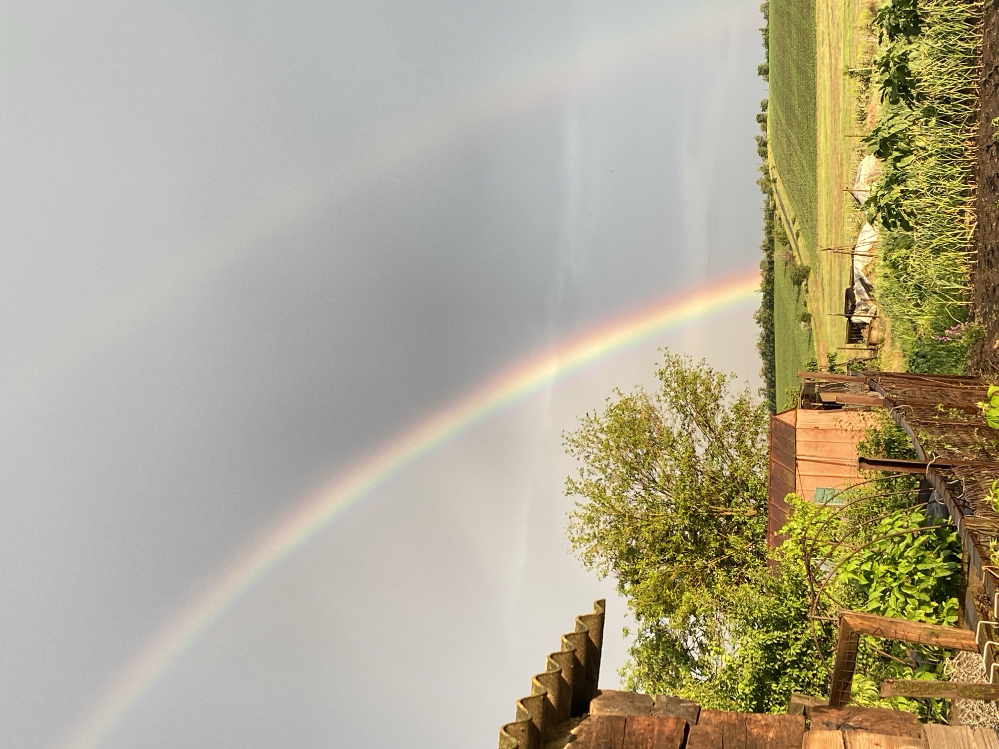 A double rainbow arches across a gray, overcast sky above a rural landscape. In the foreground, to the left, a weathered wooden structure with a corrugated roof juts into the frame. Adjacent to it, lush green trees and foliage are visible, along with a small, reddish-brown shed and a rustic fence. The middle ground features a cultivated field with rows of plants and some covered structures. Further in the distance, rolling green hills extend to the horizon under the diffused light of the sky. The scene appears to be an outdoor setting in a rural area.