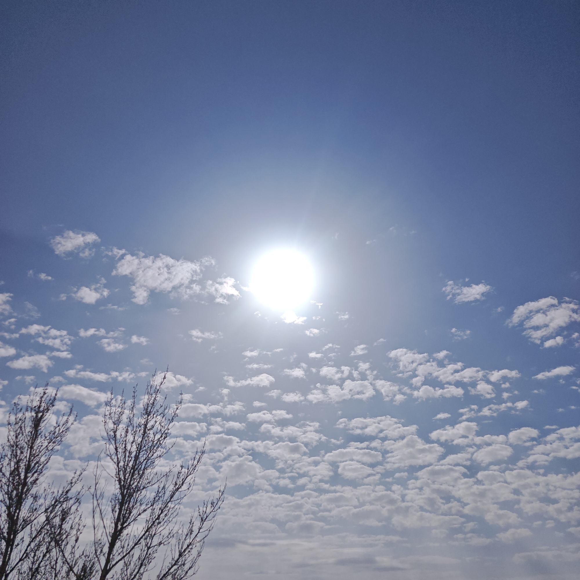 The image shows a bright daytime sky with the sun prominently displayed. Below the upper blue sky, there are layers of small, puffy white clouds. In the bottom left corner, there is a leafless tree branch. The location is specified as Rostov, Russia, though there is no specific geographical information in the image.