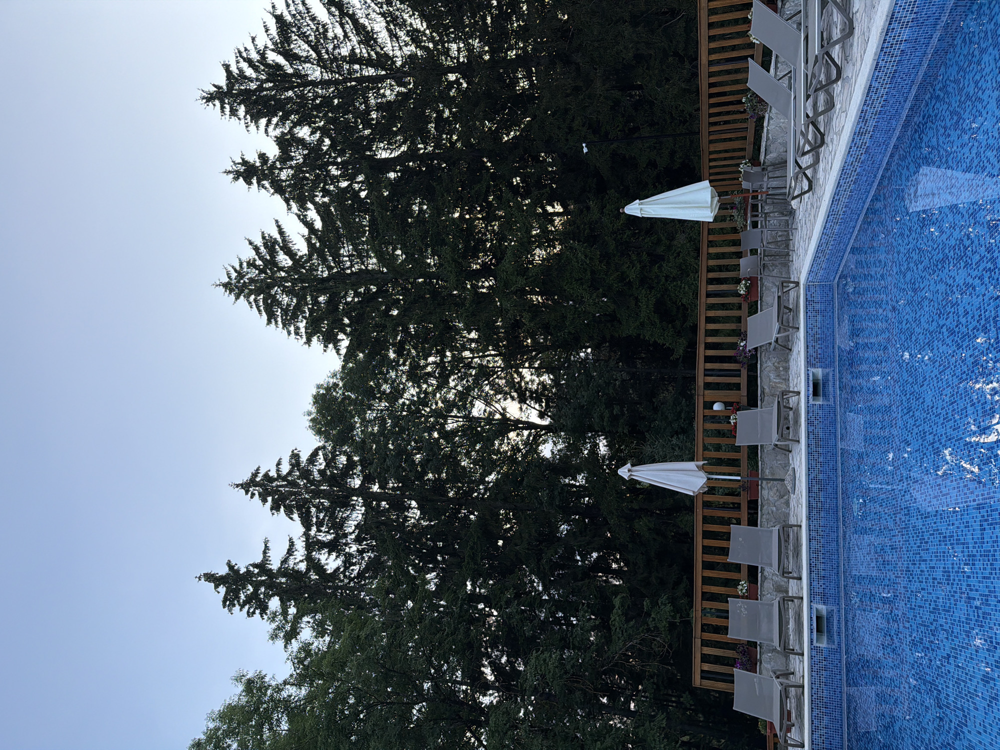 The image depicts a serene outdoor swimming pool area adjacent to a dense forest, likely in or near Kolašin, Montenegro, given the presence of tall, coniferous trees characteristic of the region. The sky is a pale, clear blue, suggesting either early morning or late evening light.
In the foreground, a vibrant blue tiled swimming pool dominates the lower half of the frame. The mosaic tiles create a shimmering, reflective surface. Along the edge of the pool, a paved area is furnished with several grey lounge chairs, some of which are unoccupied. Beyond the lounge chairs, a rustic wooden fence runs horizontally, separating the pool area from the natural landscape.
Behind the fence, a line of tall, dark green coniferous trees forms a dramatic backdrop. Their dense foliage suggests a natural forest setting. The trees are silhouetted against the sky in some areas, indicating the direction of the light.
Several white patio umbrellas are visible. One is fully deployed near a small table and chairs, suggesting a relaxation or dining area. Another umbrella appears to be closed or partially folded.
The overall impression is one of tranquility and natural beauty, with the man-made amenities of the pool area harmoniously integrated into the surrounding woodland environment. There are no people visible in the image, reinforcing the sense of peaceful solitude.