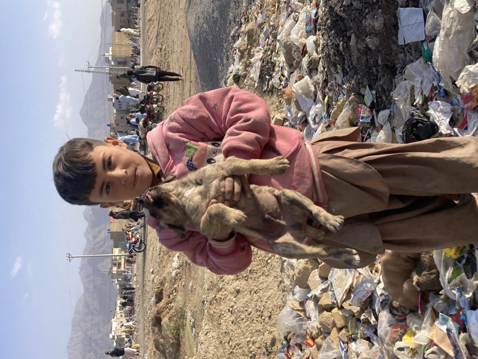 A young boy, approximately 8-12 years old, stands centrally in the foreground of an outdoor scene within Quetta City Tehsil, Pakistan. He is dressed in a pink hooded sweatshirt and brown trousers, holding a brindle-patterned puppy with both hands; the puppy's head is tilted upwards, and its tongue is extended. The ground around the boy is heavily covered with diverse refuse, including plastic bags, paper, and debris, with another light brown puppy partially visible lying in the trash to his lower left. In the mid-ground, numerous individuals, predominantly adult males, are visible walking and standing. Several motorcycles are parked or in transit. Low-rise buildings are present in the middle distance, and a prominent range of arid mountains forms the distant horizon under a clear blue sky. A utility pole with overhead wires is visible on the left side of the mid-ground.