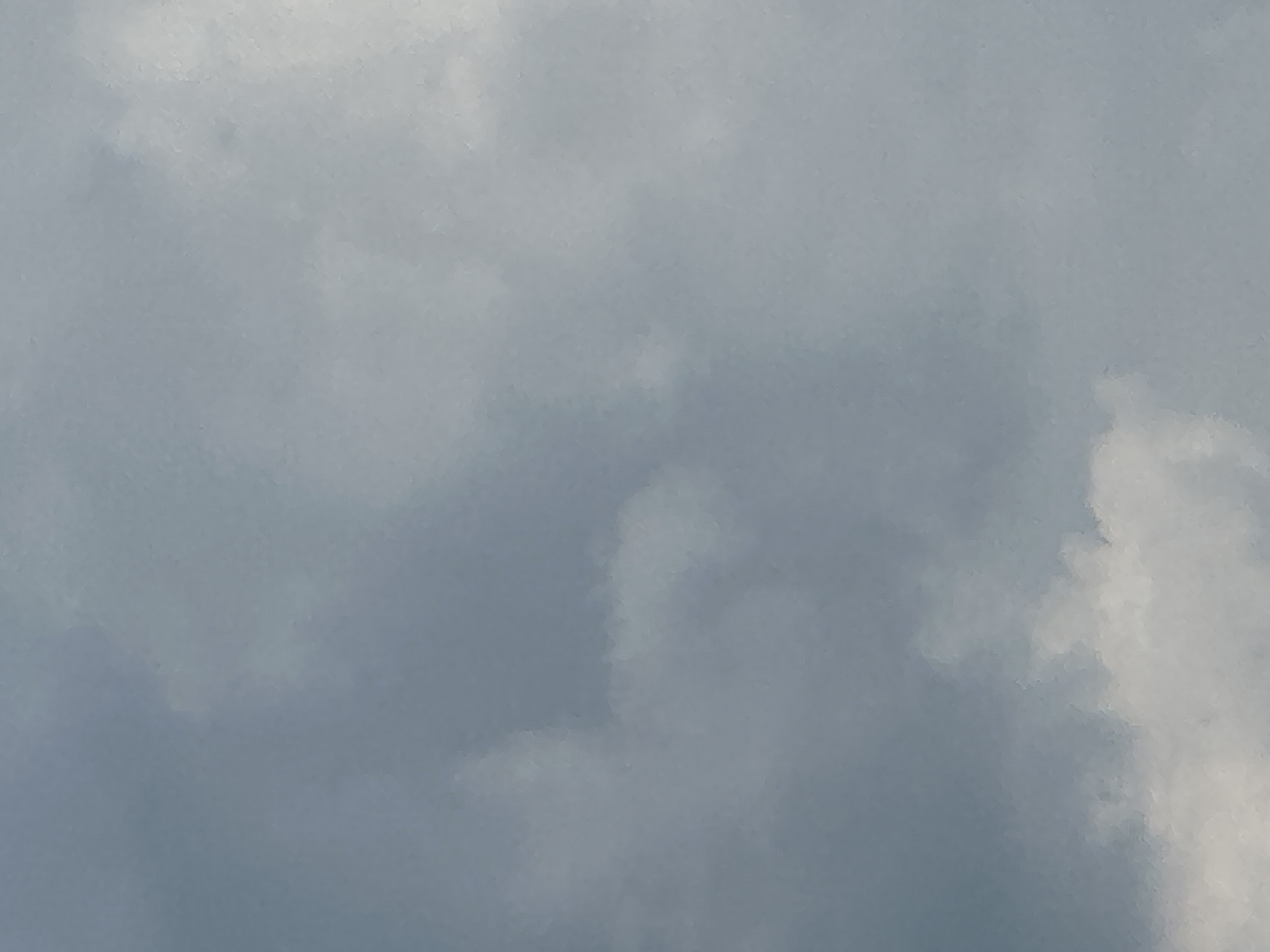 The image is an abstract, impressionistic depiction of a cloudy sky. The dominant colors are various shades of grey, with lighter grey and white areas suggesting thicker cloud formations or perhaps sunlight breaking through. The texture of the image is soft and diffused, giving it a painterly or dreamlike quality. There are no discernible people, objects, or specific landmarks. The scene is entirely composed of clouds, which fill the entire frame.
The time of day is difficult to pinpoint precisely due to the lack of direct sunlight or shadows, but the lighting suggests it could be daytime, possibly overcast. The weather appears to be cloudy, perhaps with a chance of rain given the darker grey tones. There are no location cues that would specifically indicate Belgrade, Serbia, beyond the provided context. No text is visible in the image. The overall emotion evoked by the image is one of calm, perhaps a little somber or introspective, due to the muted colors and cloudy atmosphere. The lack of distinct features forces the viewer to focus on the abstract patterns and textures of the clouds.