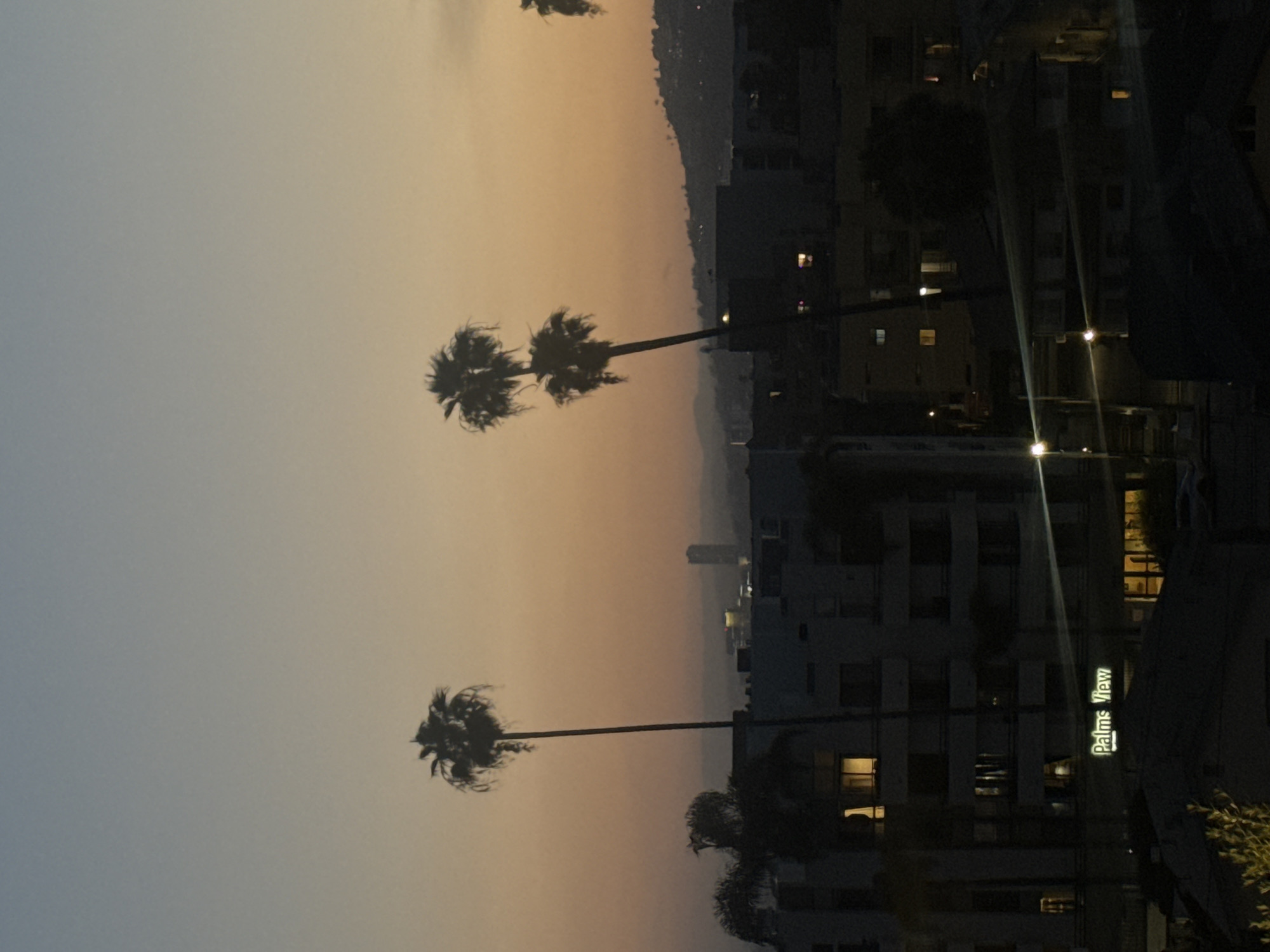 Here is a description of the image:
The image shows a skyline in Los Angeles at dusk. The sky transitions from light blue to orange. Silhouetted palm trees are prominent against the sky. Buildings are visible in the background, and a sign reading "Palms View" is seen on a building in the lower right. Streetlights are on, indicating that it is nearing night.