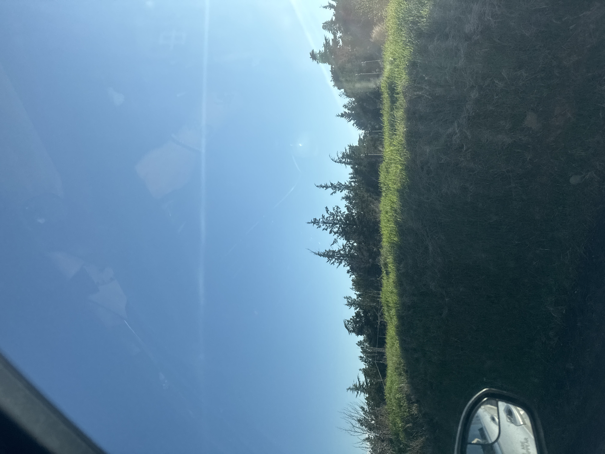 The image shows a view from inside a vehicle, possibly a car. The left side of the frame is dominated by a bright blue sky, with some reflections or distortions on the windshield. On the right side, there's a strip of green vegetation, possibly grass or bushes, followed by a line of trees. The side mirror of the vehicle is visible in the lower right corner. There are no people visible in the image. The image does not provide explicit information about the location being Tbilisi, Georgia.