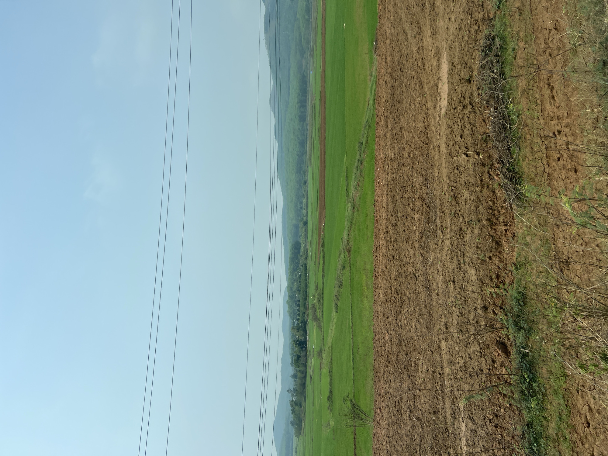 The image shows a rural landscape in Dak To, Vietnam. On the left, power lines stretch across a light blue sky. Adjacent to the sky is a field of bright green vegetation. To the right of the green field is an area of tilled brown soil transitioning into denser, dry brush and vegetation. Mountains are faintly visible in the distance. The scene appears to be a combination of cultivated and undeveloped land.