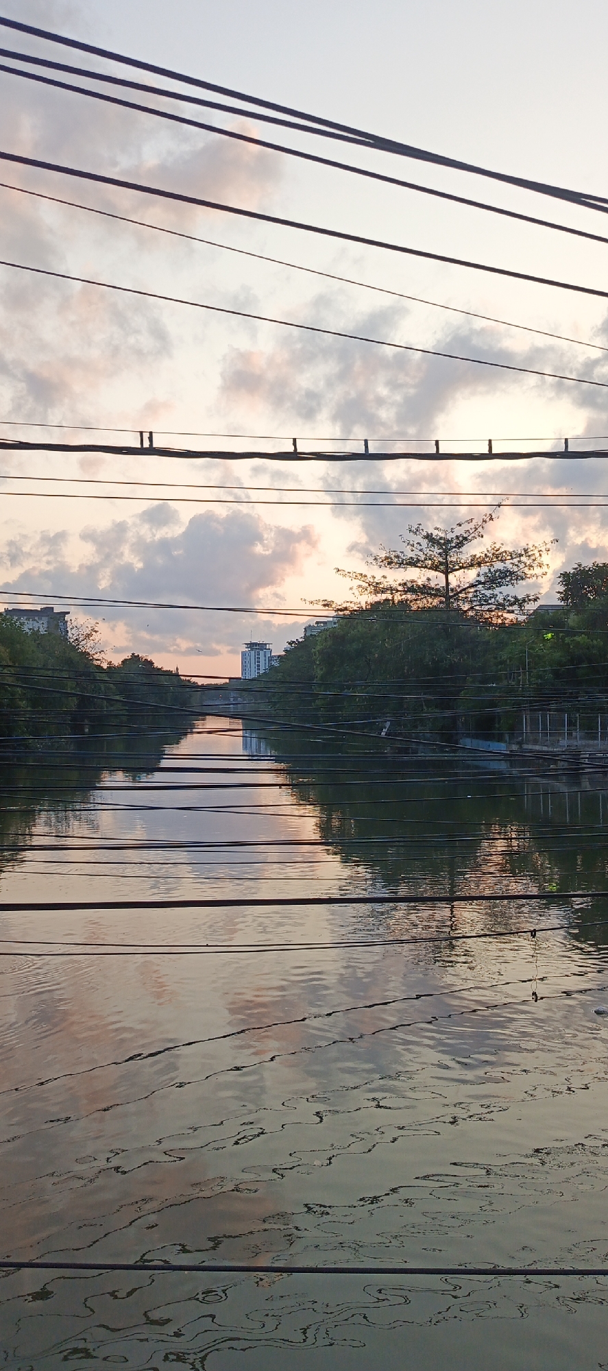 This is a vertical, eye-level photograph of a canal in Surabaya, Indonesia, at dusk. The sky is filled with soft, pastel clouds, tinged with pink and orange from the setting sun. Multiple power lines are strung across the frame, obscuring parts of the sky and the scene below.
The canal itself occupies the lower half of the image, its surface reflecting the muted colors of the sky and the surrounding environment. The water is calm, with ripples and patterns creating abstract shapes on its surface. Along the banks of the canal, lush green trees and dense foliage are visible, interspersed with buildings.
In the distance, a modern high-rise building stands prominently against the twilight sky, its outline sharp and defined. A bridge can be seen spanning the canal further down its length. The overall atmosphere of the image is serene and tranquil, capturing a moment of quiet beauty in an urban setting.