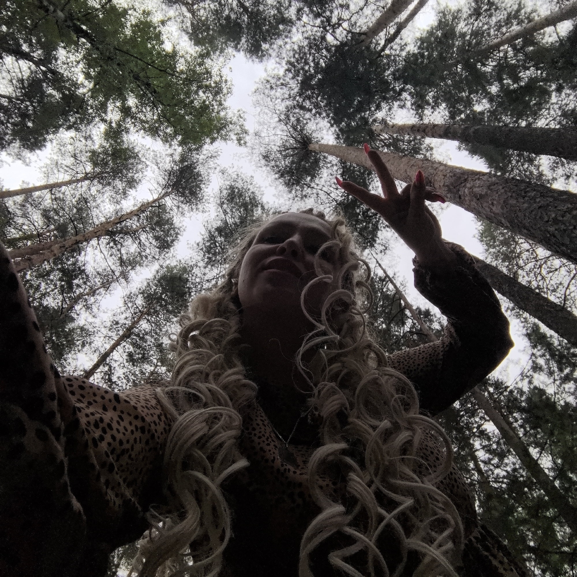 A low-angle, wide shot captures a person from the neck up, surrounded by tall trees in a forest. The person, with long, curly blonde hair, is looking up and to the left. Their face is partially shadowed, but they appear to be smiling. One hand is raised, showing bright pink nail polish, and is extended towards the trees, with the index and middle fingers forming a peace sign. The person is wearing a leopard-print top. The trees are dense, with green foliage, and their trunks are visible, extending upwards into a bright, overcast sky. The perspective suggests the photo was taken from the ground, looking straight up. The overall mood is playful and adventurous, likely taken during daylight given the brightness of the sky, though the overcast conditions suggest it could be a cloudy day. No visible text is present in the image. The setting is a forest in Noviy, Russia.
