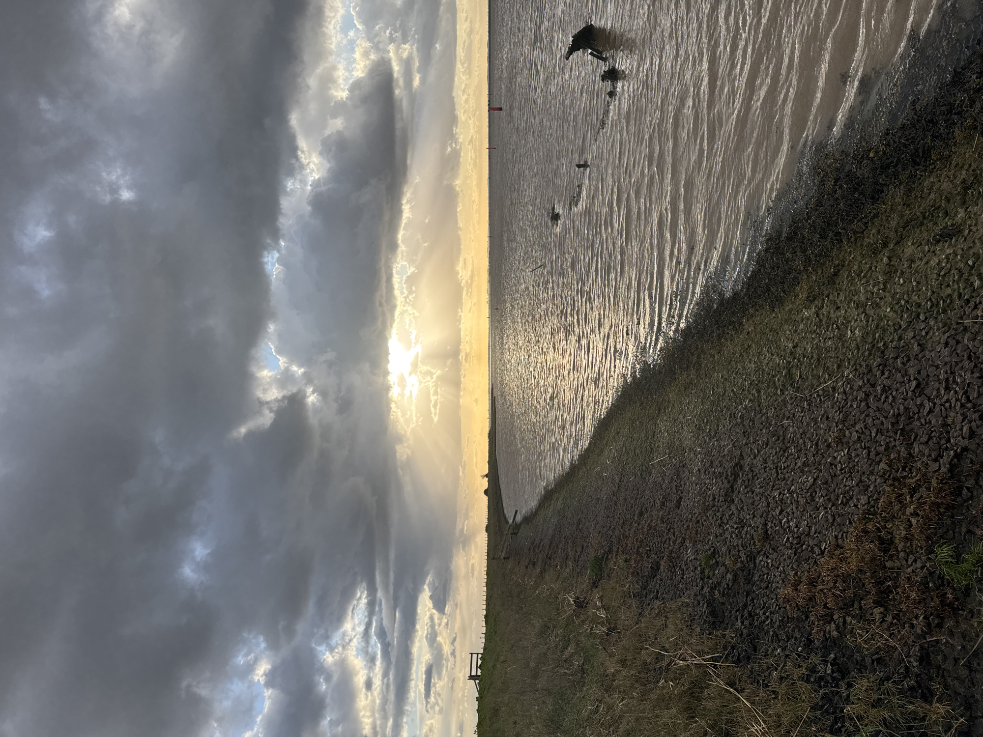 The image depicts a waterside landscape along the bank of Breydon Water, Great Yarmouth, United Kingdom, under an overcast sky.
The scene is dominated by a wide body of murky, brown-tinged water extending from the lower right to the distant horizon. The water's surface exhibits small ripples, reflecting a golden light from the sun. Partially submerged in the water along the right bank are several dark, irregular objects, possibly weathered wooden posts or remnants of structures, with one more prominent, darker mass closer to the right edge. Further out, a distinct red cylindrical buoy is visible, along with a smaller, dark marker.
To the left, a natural embankment curves gently into the distance. The immediate shoreline consists of dark grey gravel or small stones, transitioning upwards into dry, pale green and brown grasses. In the upper left portion of the embankment, a wooden gate or fence structure, composed of two vertical posts and a horizontal crossbar, is visible. A line of smaller wooden posts extends along the top of the embankment beyond this structure.
The sky occupies the upper half of the image and is heavily overcast with dense, dark grey clouds. A prominent break in the clouds on the right allows bright, golden sunlight to stream through, creating visible crepuscular rays that illuminate the water and the distant horizon. The lighting suggests either sunrise or sunset. No people, animals, or active vehicles are present in the scene, and no discernible actions or interactions are occurring.