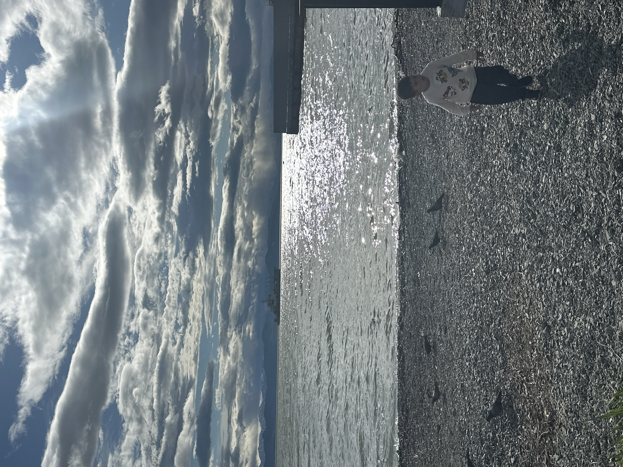 A young boy walks on a pebbled shoreline with a body of water and mountains in the background. The sky is filled with dramatic clouds, with sunbeams breaking through in places. Several birds are scattered on the ground and in the water. A ship can be seen in the distance on the water. The scene appears to be an outdoor public space in Petropavlovsk-Kamchatsky, Russia.