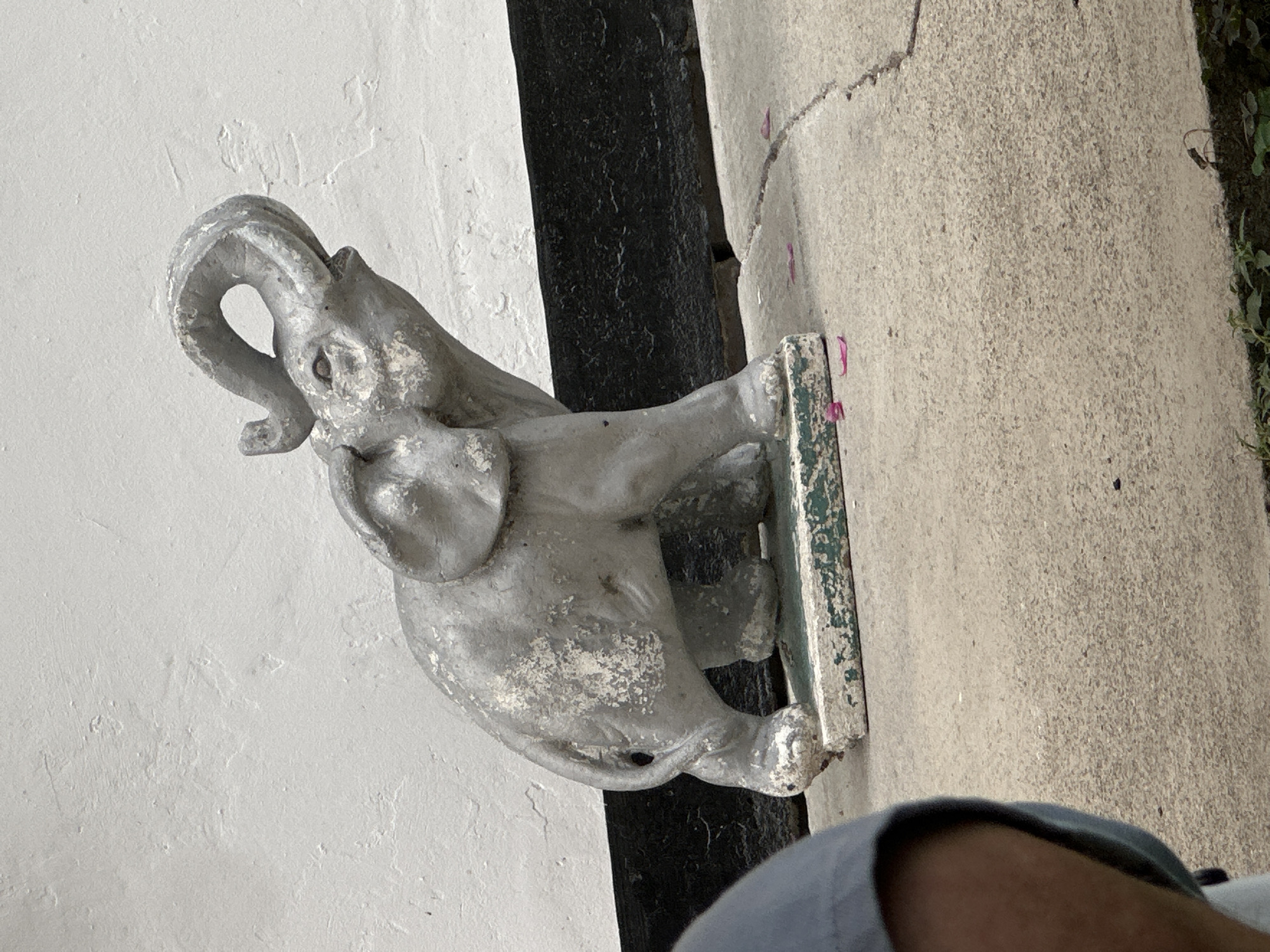 A weathered, grey concrete statue of an elephant with its trunk raised is positioned on a cracked concrete surface. The elephant statue is standing on a rectangular base, which appears to be made of concrete and painted with green and white stripes. A portion of a person wearing a blue garment is visible in the lower left corner of the frame, partially obscuring the foreground. The background consists of a white wall with a dark band running horizontally across it. Scattered pink petals are visible on the concrete ground around the statue. The scene is outdoors, likely in an urban or garden setting. The location is identified as Villa Pasquali, Italy.