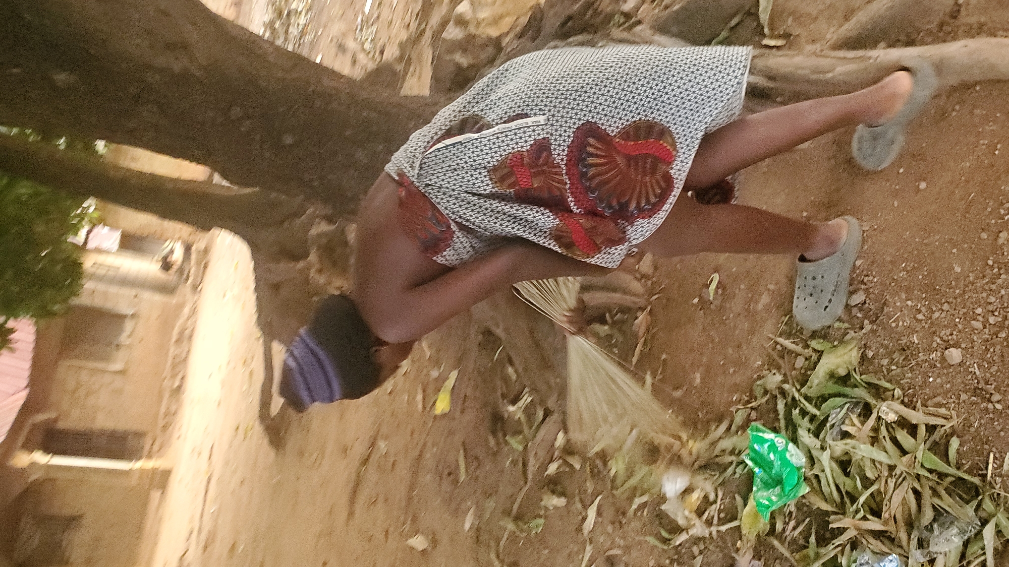 Akwanga, Nigeria: A woman wearing a patterned dress and grey clogs sweeps the ground with a straw broom near a tree. Debris and leaves are scattered on the ground. A building is visible in the background. The image is sideways.