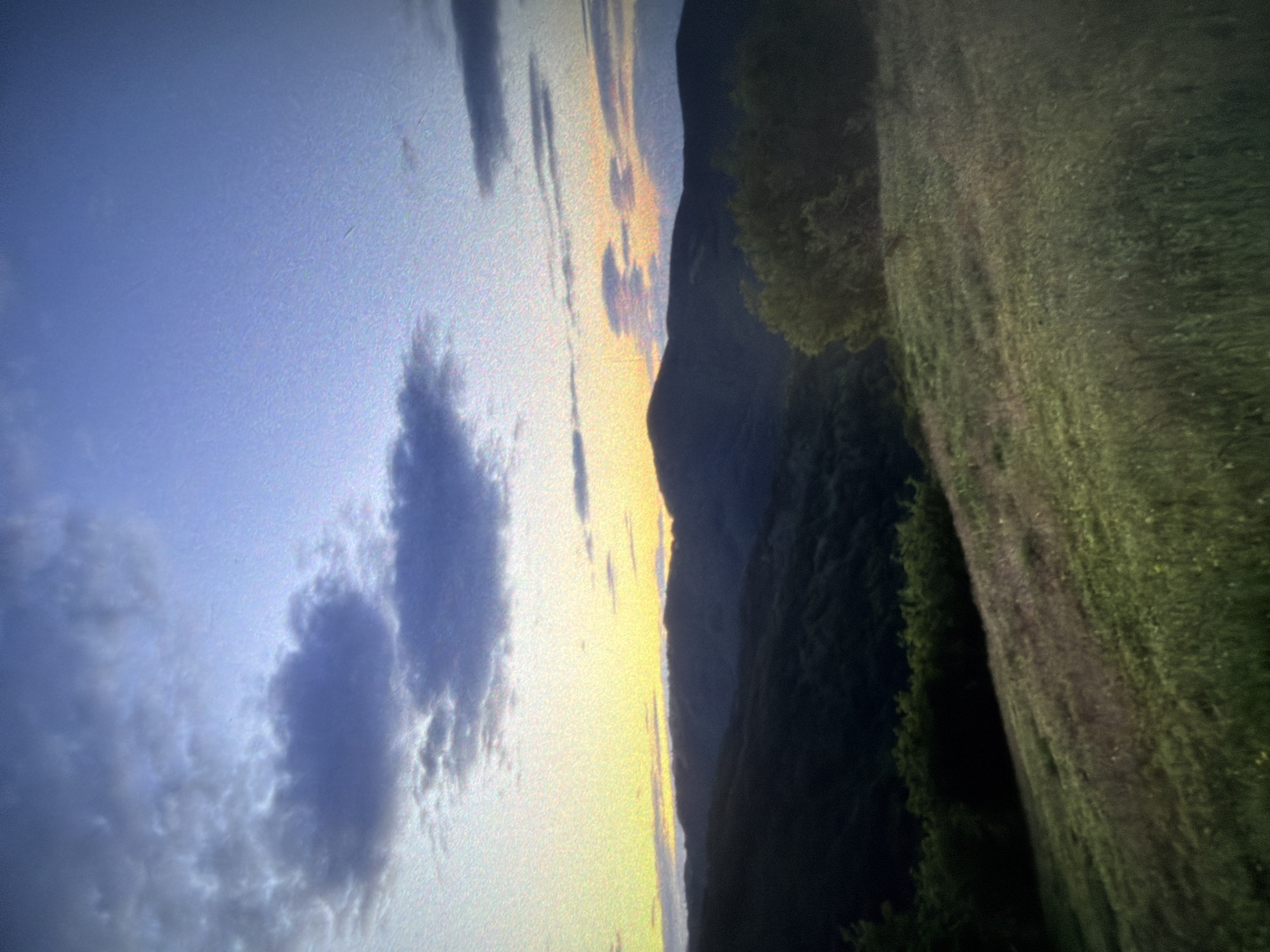 This image depicts a twilight scene of rolling hills and a gradient sky. In the foreground, a grassy slope is illuminated by the fading light, with patches of green grass and some dry stalks. In the middle ground, a dense forest covers the lower slopes of the hills, transitioning to darker silhouettes against the sky. The background features a series of undulating mountain ridges. The sky above shows a transition from a pale yellow and orange horizon, indicating sunset or sunrise, to a soft blue, with scattered clouds in shades of purple and gray. The overall atmosphere is serene and natural. The location is identified as Vitosha Mountain, near Sofia, Bulgaria.