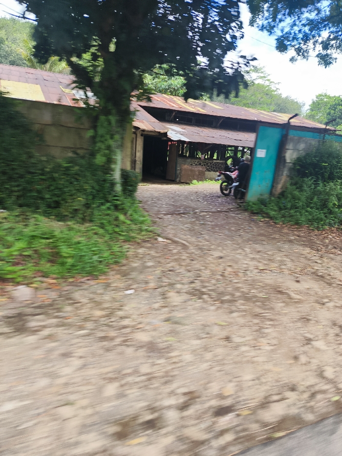 The image shows a dirt path leading to a building with a corrugated metal roof. The building is partially obscured by dense foliage and a tree trunk. A blue gate with a metal bar on top stands to the right of the path. Two people, one on a motorcycle, are visible just beyond the gate. The image was taken at a location in Cipatat, Indonesia, at the coordinates -6.796 latitude and 107.442 longitude. The environment is characterized by lush vegetation and a dirt path. The image is taken from a low angle, looking forward towards the building and gate. The image quality is slightly blurred and appears to be taken from a moving vehicle.