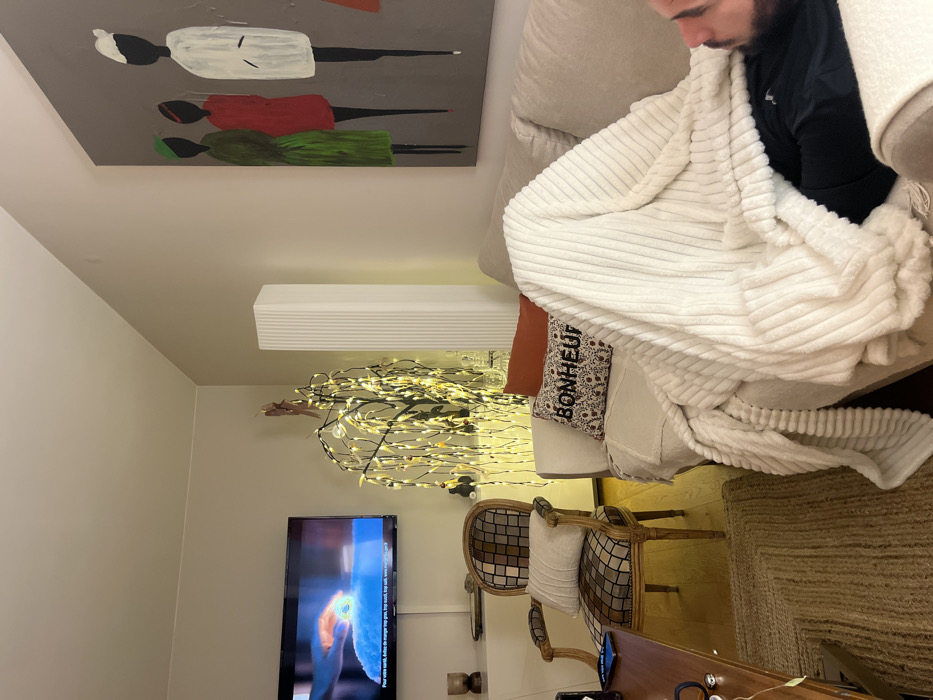 A man sits on a beige couch wrapped in a white blanket. A painting of figures hangs on the wall above. Beside the couch, a decorative tree with lights stands near a white wall-mounted shelf. Below the tree, a television displays an image. A patterned chair with a white cushion sits to the right of the tree, and a small table with objects is positioned in the foreground. A jute rug completes the scene.