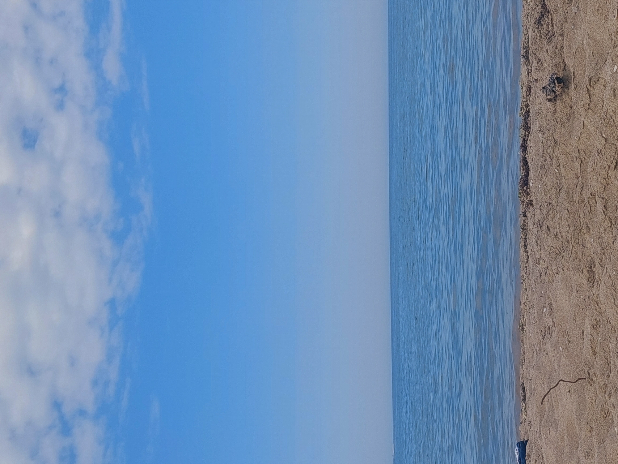 The image depicts a tranquil beach scene in Kiten, Bulgaria. The foreground is dominated by a sandy shore with some scattered debris, including a small piece of driftwood and a dark clump of seaweed. The sand is a light tan color, showing textures and patterns from the wind or water.
Beyond the sand, the calm, blue waters of the Black Sea stretch out towards the horizon. The water is slightly rippled, reflecting the clear sky above. The horizon line is sharp and defined, separating the sea from the sky.
The sky is a vibrant, clear blue, with a band of fluffy white clouds near the top of the frame. The overall atmosphere is serene and peaceful, suggesting a pleasant day at the beach. No people or specific structures are visible in the frame.