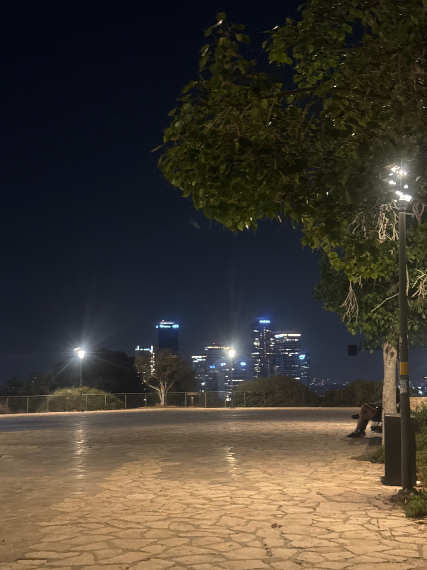 The image depicts a nighttime scene in the city of Ramat Gan, Israel, likely from an elevated vantage point overlooking the city skyline. The foreground is dominated by a stone-paved area, possibly a promenade or park, with a wet, reflective surface indicating recent rain or watering. A tree with dense green foliage partially obscures the view of the night sky and city lights. In the mid-ground, a lamppost illuminates the paved area, and a chain-link fence runs horizontally, separating the paved area from a patch of greenery. Beyond the fence, a few trees are visible, with one notably bare-branched tree standing out.
The background features the illuminated skyline of Ramat Gan, characterized by modern high-rise buildings with glowing windows and architectural lighting. Prominent structures include at least two distinct towers with blue and white lighting. A lone figure is seated on a bench to the right of the frame, partially obscured by a lamppost and foliage, appearing to be facing away from the viewer towards the city. The overall atmosphere is serene and urban, capturing the city at night.