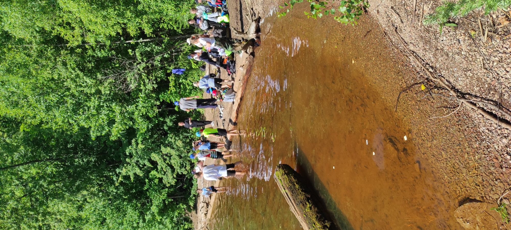 This image depicts a group of people, primarily children and adults, gathered along the sandy shore of a body of water that appears to be a lake or river, likely in the city of Chaikovsky, Russia. The water is a murky brown color, with some white debris floating on the surface. The shoreline is a mix of sand and small pebbles, with a few logs and driftwood scattered about. A dense forest with lush green trees forms the backdrop.
Several children are standing in the shallow water, some appearing to be playing or wading. Other individuals are sitting or standing on the shore, some engaged in conversation or supervising the children. There are bags and backpacks visible on the shore, suggesting the group may be on an outing or excursion. The overall atmosphere appears relaxed and casual, with the scene set on a sunny day.