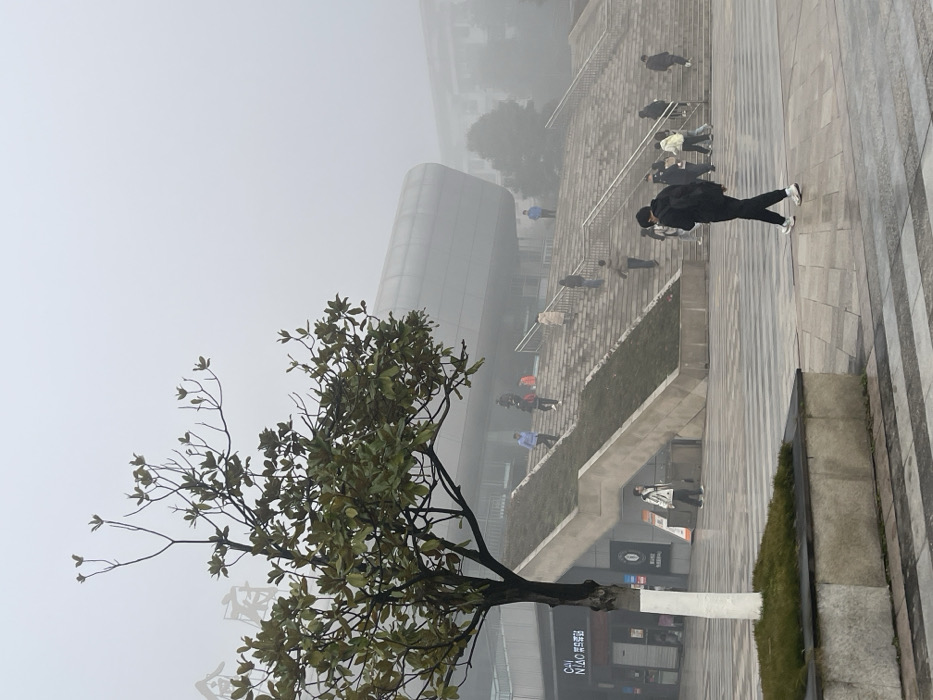 A foggy outdoor scene presents a tree in the foreground. Behind the tree, a modern building is partially obscured by the fog. People are walking up a set of stairs. The ground is paved and there's some green grass to the side. The fog creates a muted and dreamlike atmosphere. The photograph is taken at an angle.