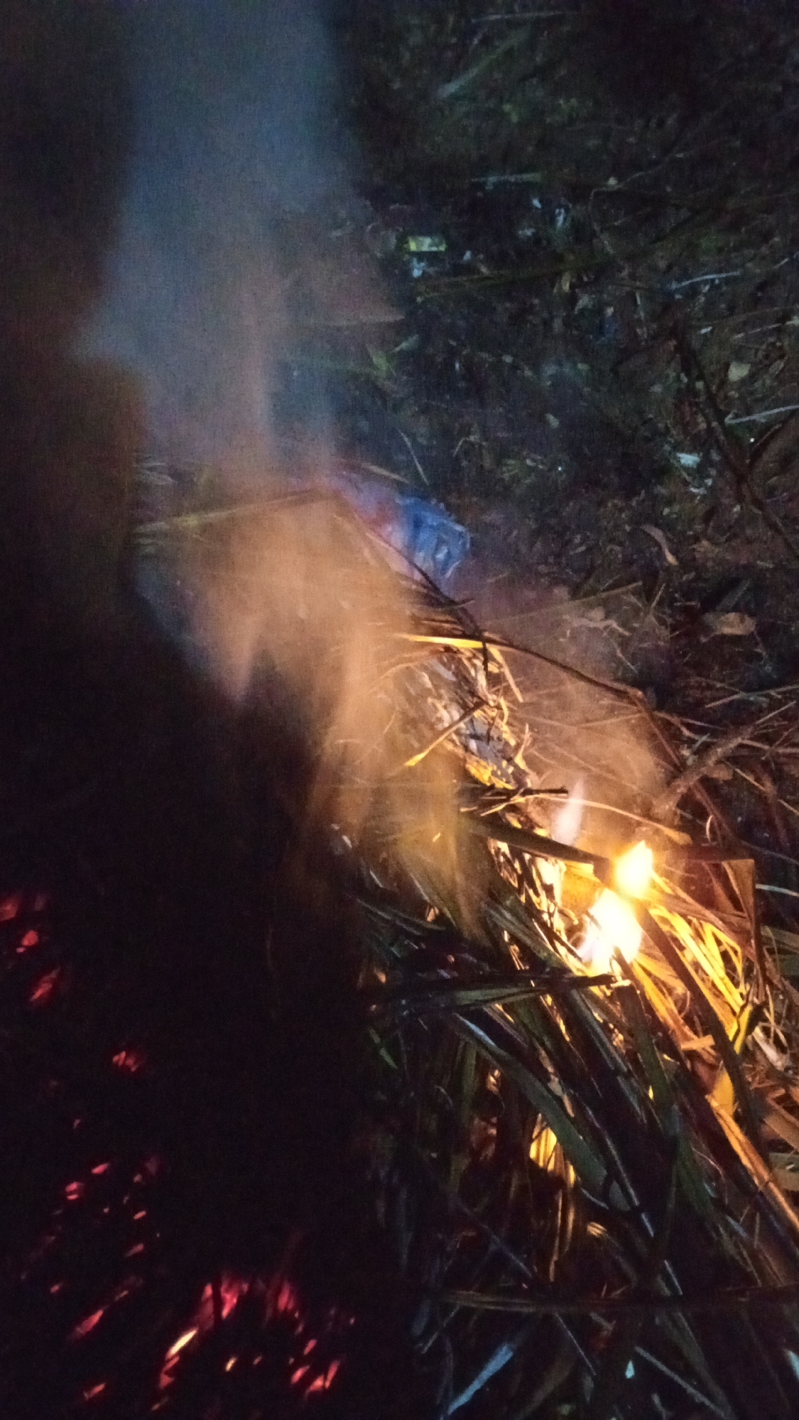 A small pile of dry vegetation, likely rice straw and palm fronds, is actively burning in the dark. The fire is producing significant smoke, which drifts upwards and to the left, obscuring parts of the scene. Embers glow red on the lower left, indicating smoldering material. The flames are visible in the center and right of the image, casting an orange and yellow light on the surrounding dried plants. A small piece of blue plastic is visible within the burning material. The ground around the fire is covered in debris, including branches and more dry plant matter, suggesting an outdoor, possibly rural setting. The overall impression is of a controlled burn or the aftermath of a fire in a natural or agricultural area. The specific location is in Buketteukuh, Indonesia.