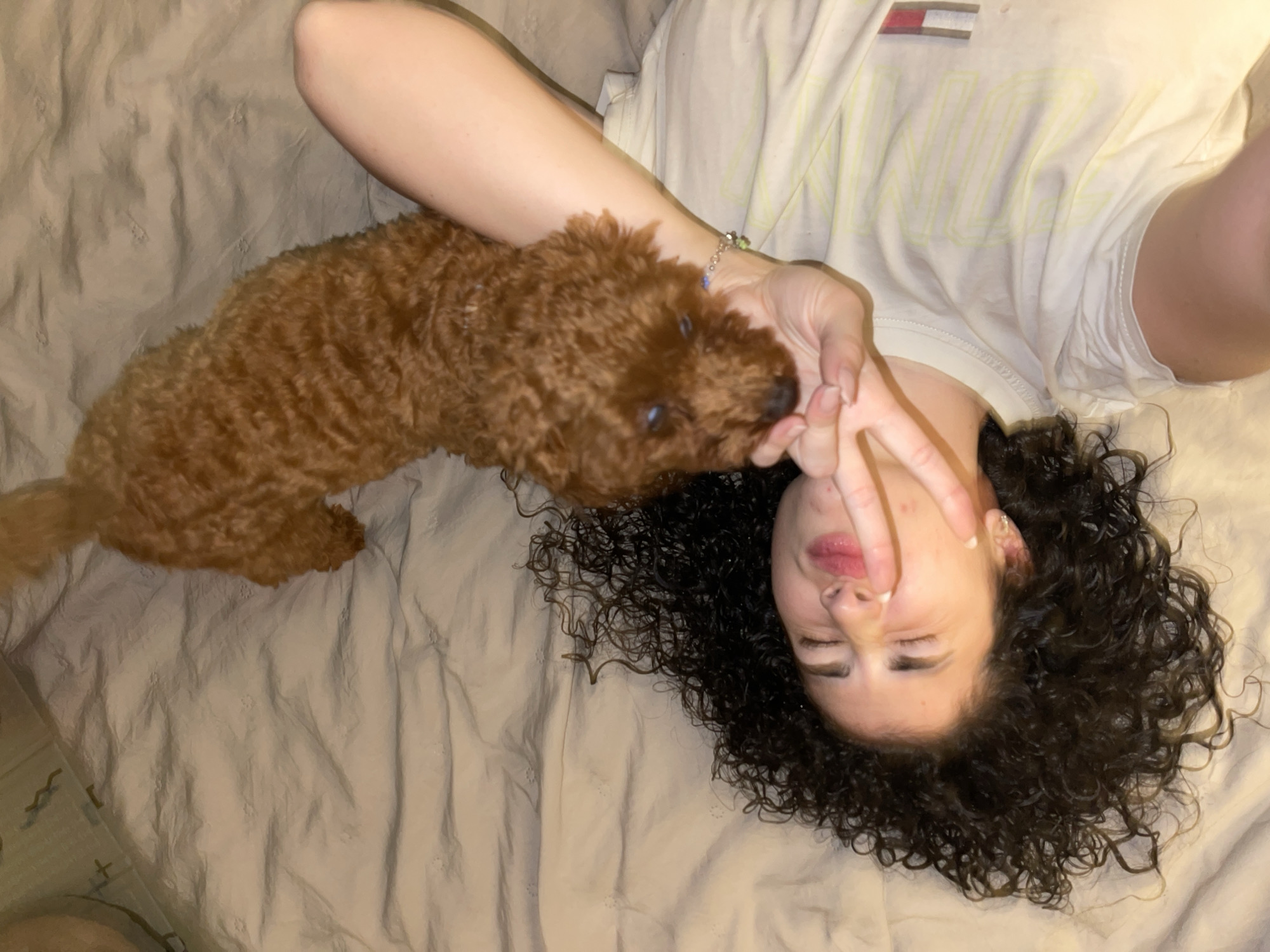 An individual with dark, curly hair is depicted lying on their back on light-colored bedding. Their face is angled slightly upwards and to the right of the frame, with eyes closed or squinting, and lips slightly pursed. The individual's right hand is raised, forming a peace sign (V-shape with index and middle fingers extended). A small, reddish-brown, fluffy dog is positioned on the individual's right arm, with its head resting near or on the raised hand. The dog's eyes appear to be closed or directed downwards. The individual is wearing a light-colored, short-sleeved t-shirt with a visible emblem on the upper right chest area, resembling a red, white, and blue flag design. A beaded bracelet is visible on the individual's right wrist. The background consists of crumpled, plain, light-colored bedding, indicating an indoor setting, likely a bed. No identifying features are present to determine the specific city of Sofia, Bulgaria.
