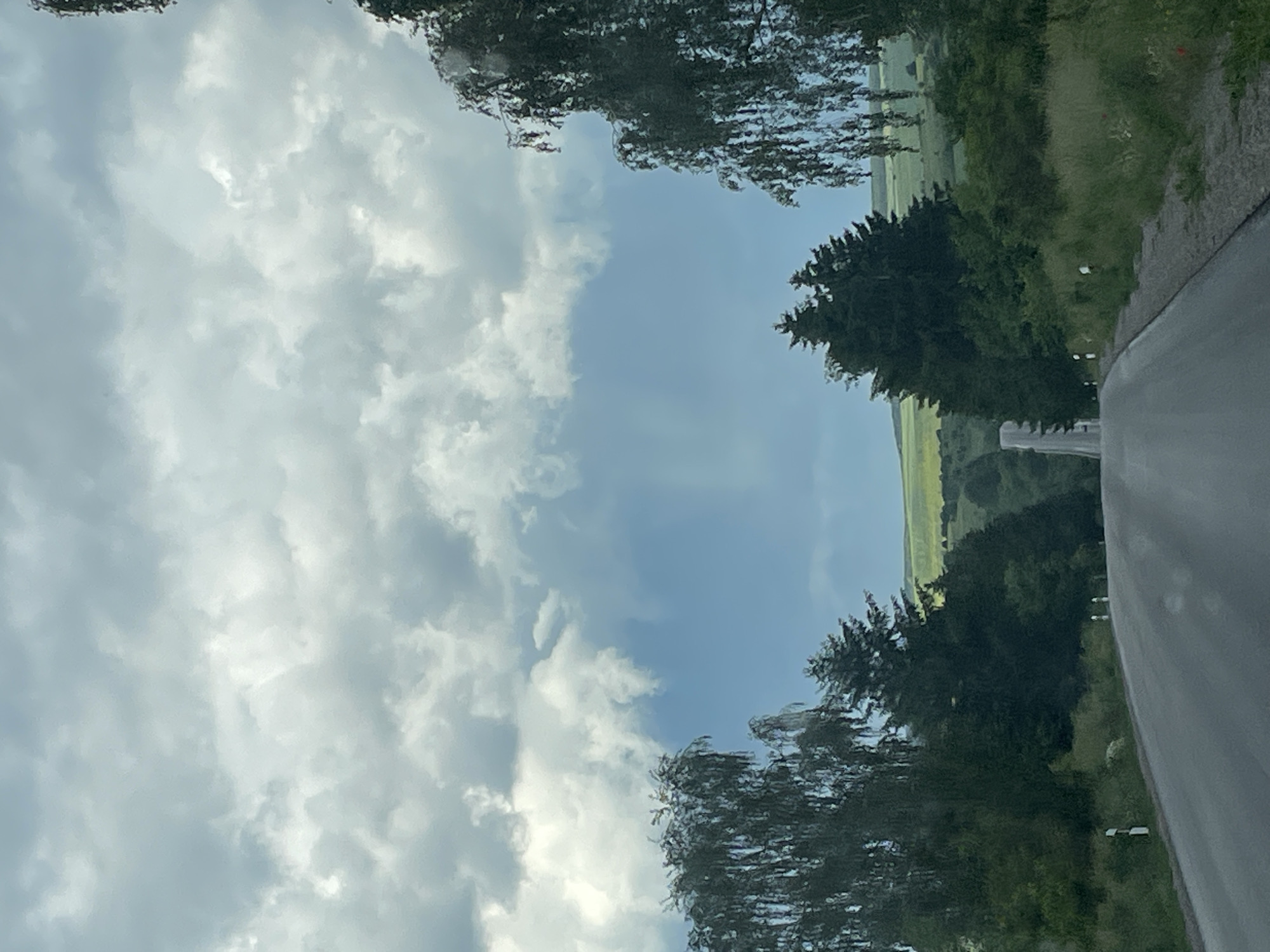 The image shows a road with trees on either side, leading to an open green field. The sky above is filled with cumulus clouds. The road appears to be paved and is slightly wet. Loznitsa, Bulgaria is not verifiable from the image.