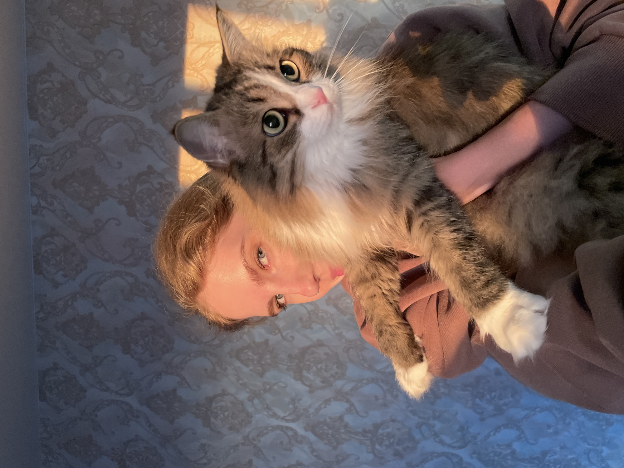 A woman is holding a long-haired cat. The cat is looking at the camera. The background is a wall with wallpaper. The photo appears to be taken indoors. There is a beam of sunlight on the left side of the image. There is no information to suggest that the location is in the city of Izhevsk, Russia.