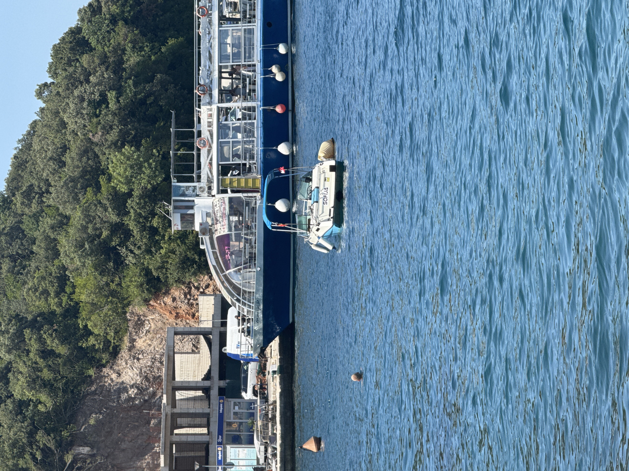 In a body of water with a blue hue, a man with a shaved head is swimming. Nearby, a small white and blue boat named "SOFIJA" floats on the water. In the background, a large blue passenger boat is docked. Behind the docked boats, a concrete structure under construction is visible, with a rocky hill covered in lush green trees towering above it. The sky is clear and blue.