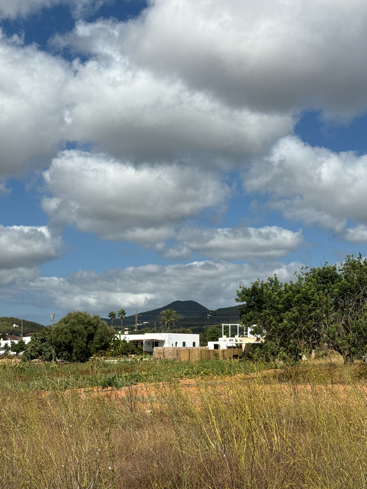 The image shows a sunlit landscape with a bright blue sky filled with fluffy white and gray clouds. In the foreground, dry, tall grasses and vegetation stretch across the scene. Behind this, a cluster of white buildings with green shutters is visible, nestled among trees and greenery. To the left, a round, dense green tree stands out. In the background, a dark, rounded mountain peak is silhouetted against the sky, with more greenery and distant buildings on the slopes. This scene is consistent with the rural areas of Sant Josep de sa Talaia, Spain, likely during the daytime. There are no people or animals visible in the image.